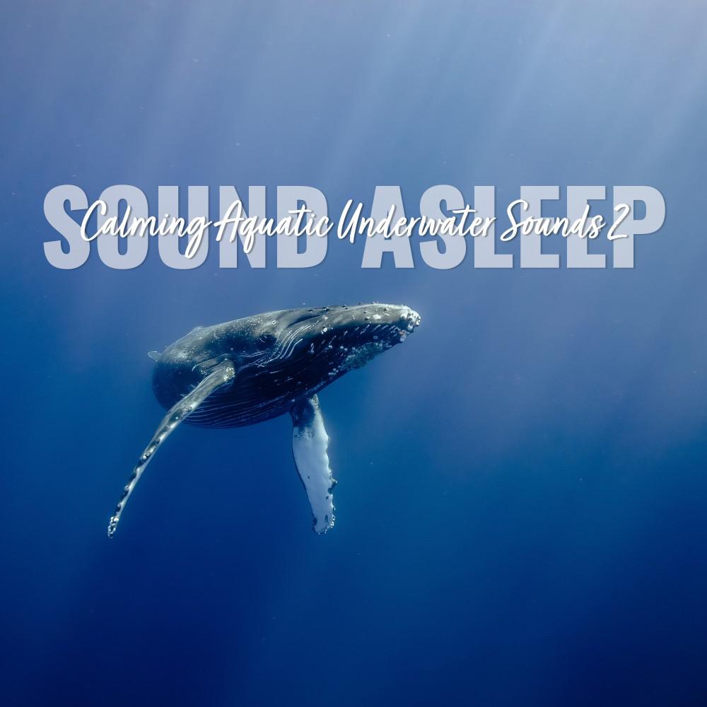 Постер альбома Sound Asleep: Calming Aquatic Underwater Sounds 2