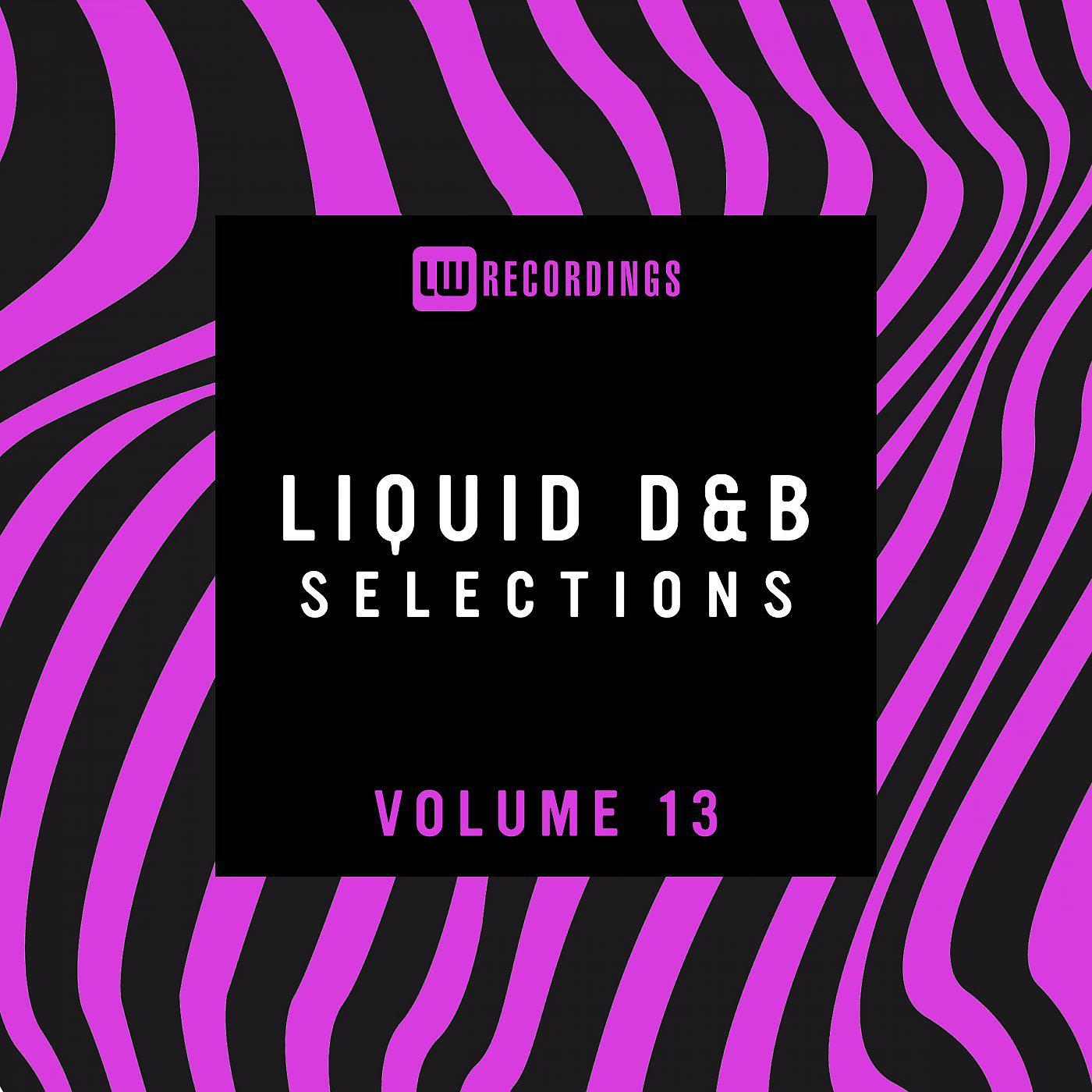 Постер альбома Liquid Drum & Bass Selections, Vol. 13