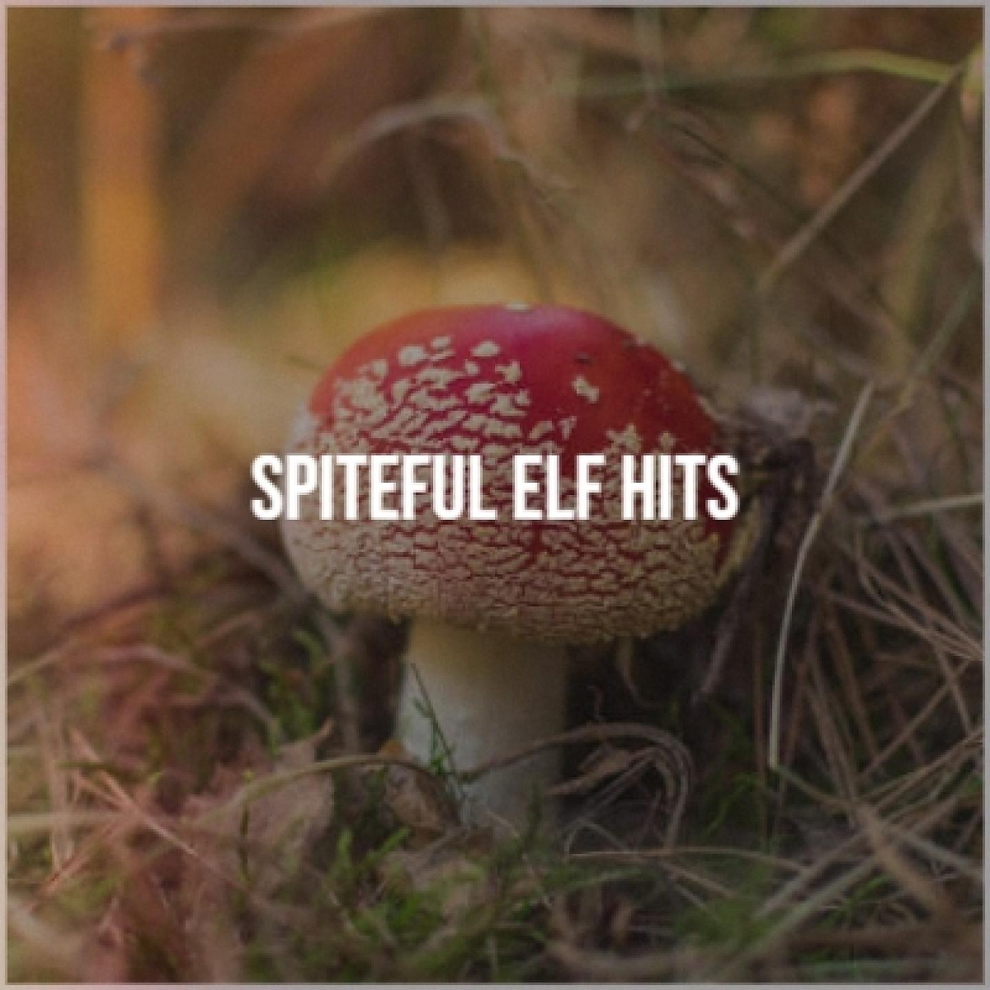 Постер альбома Spiteful Elf Hits