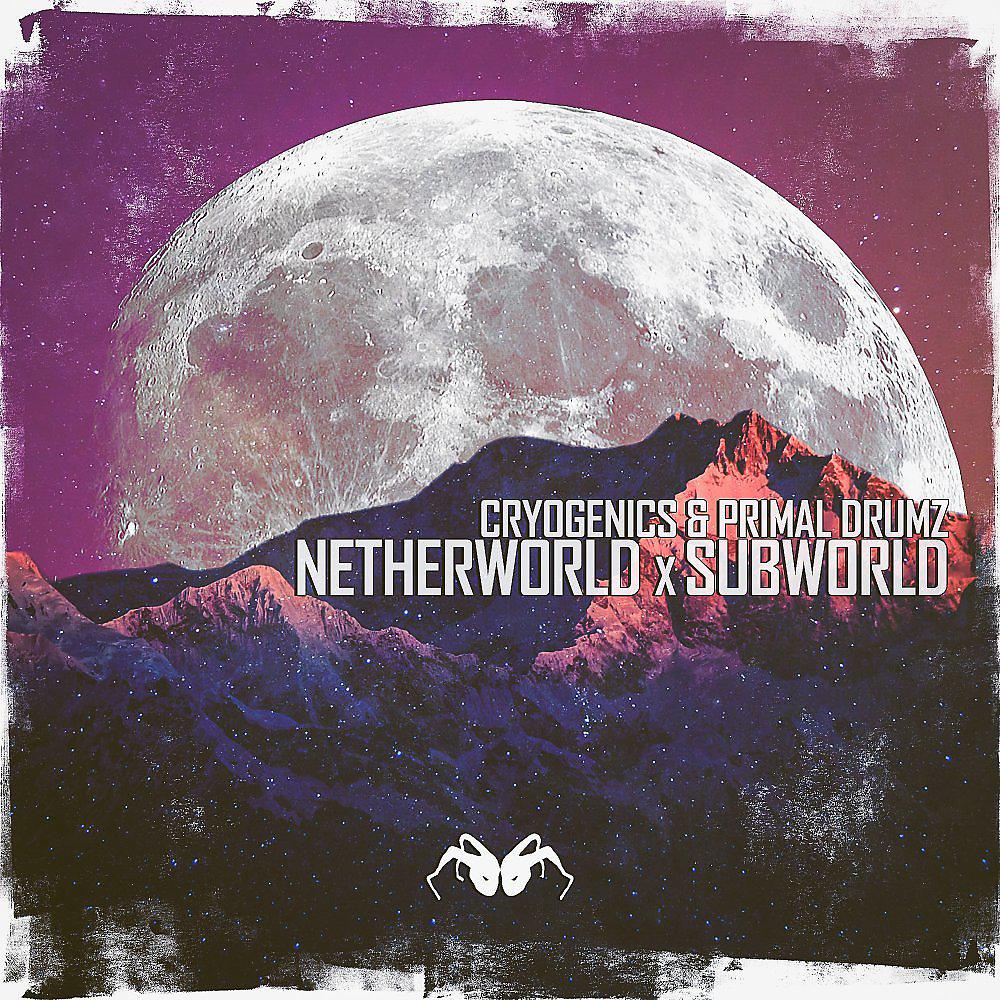 Постер альбома NetherWorld x SubWorld