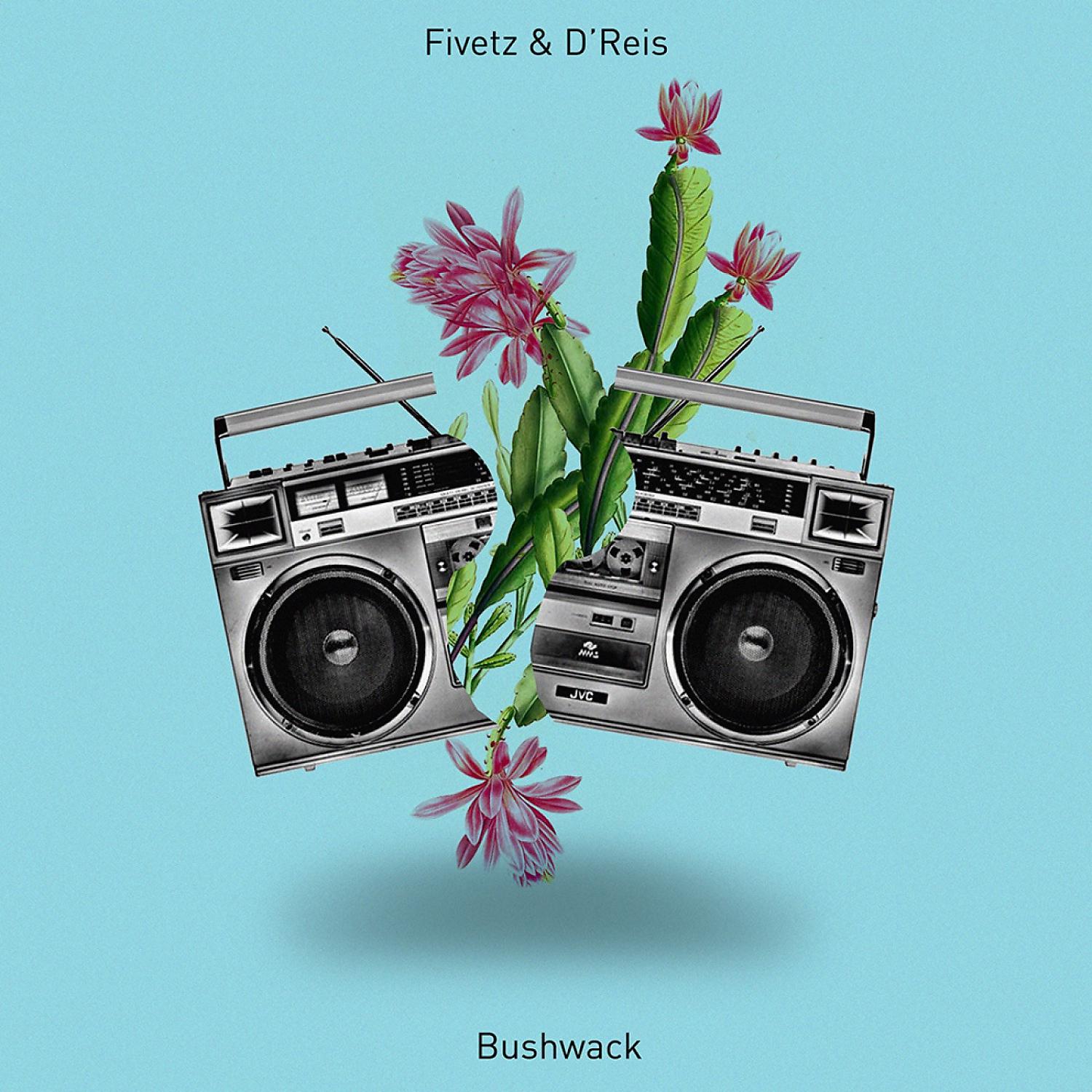 Постер альбома Bushwack