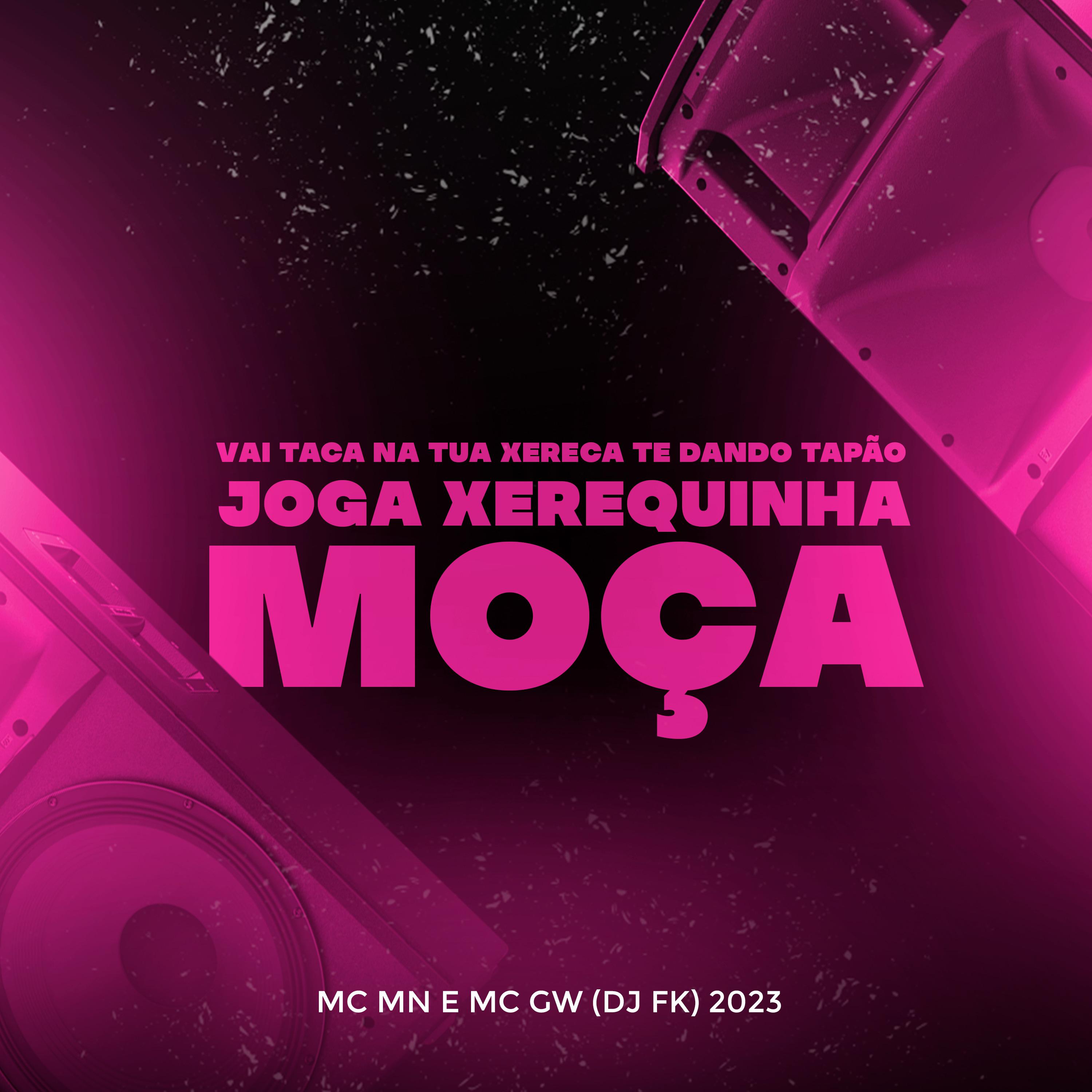 Постер альбома Vai Taca na Tua Xereca Te Dando Tapao, Joga Xerequinha Moça