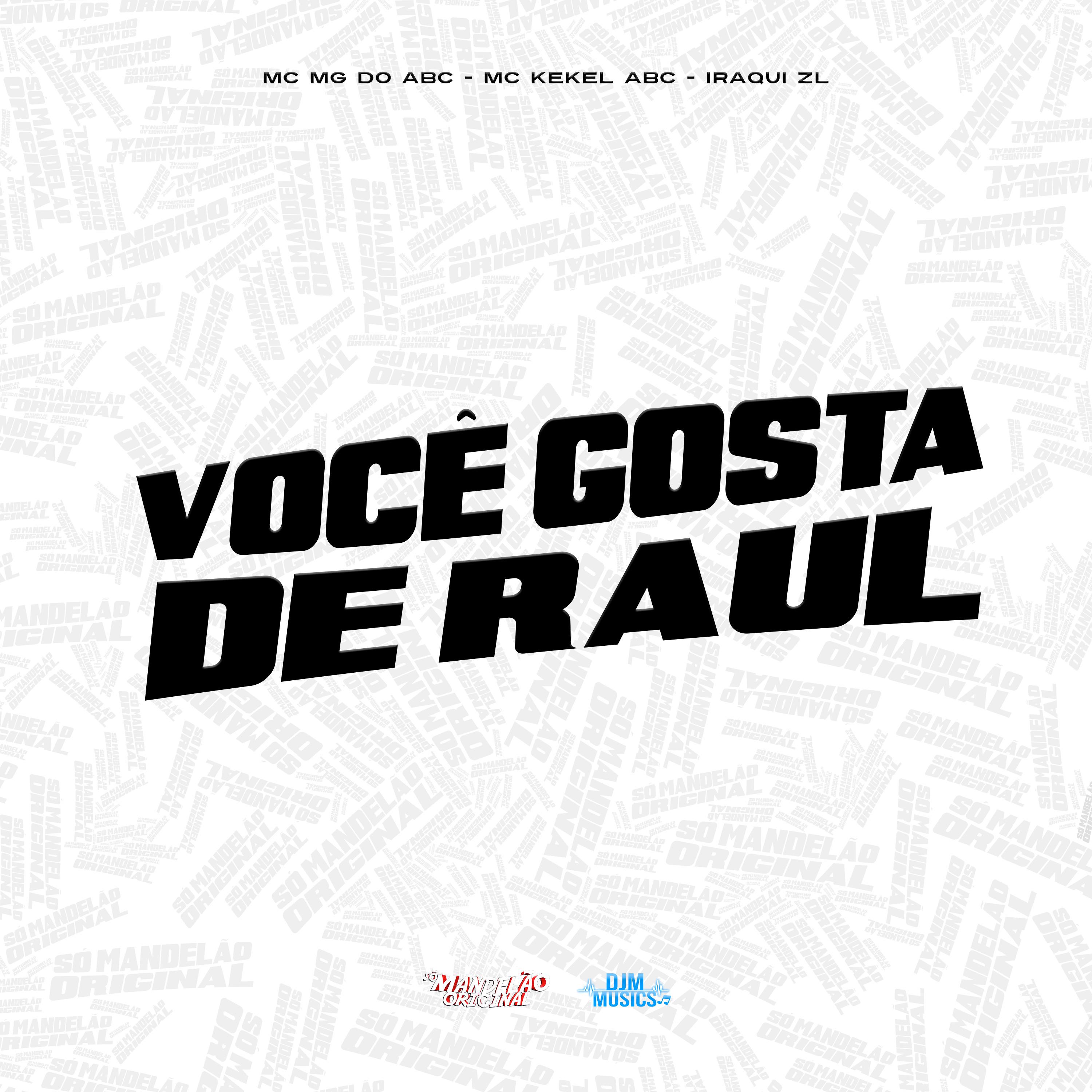 Постер альбома Voce Gosta de Raul