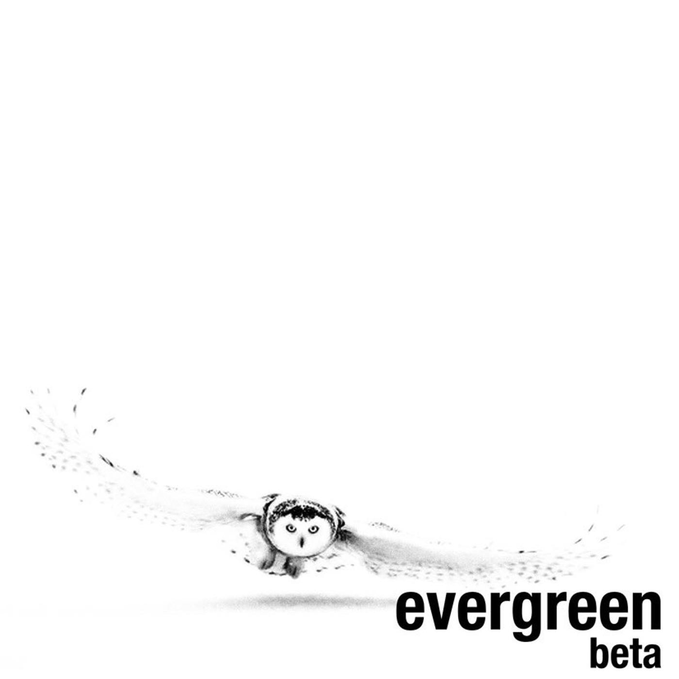 Постер альбома Evergreen (Beta)
