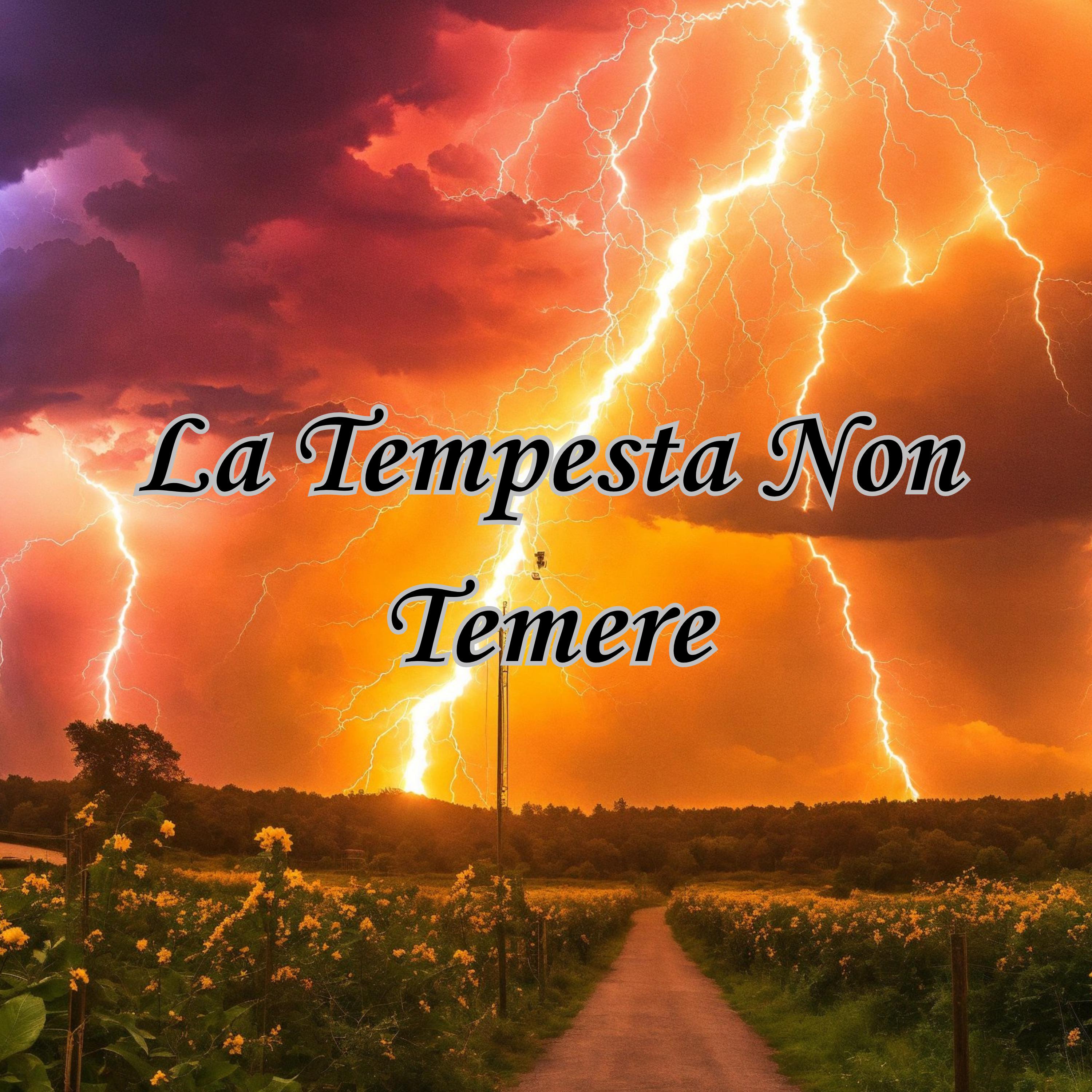 Постер альбома La Tempesta Non Temere