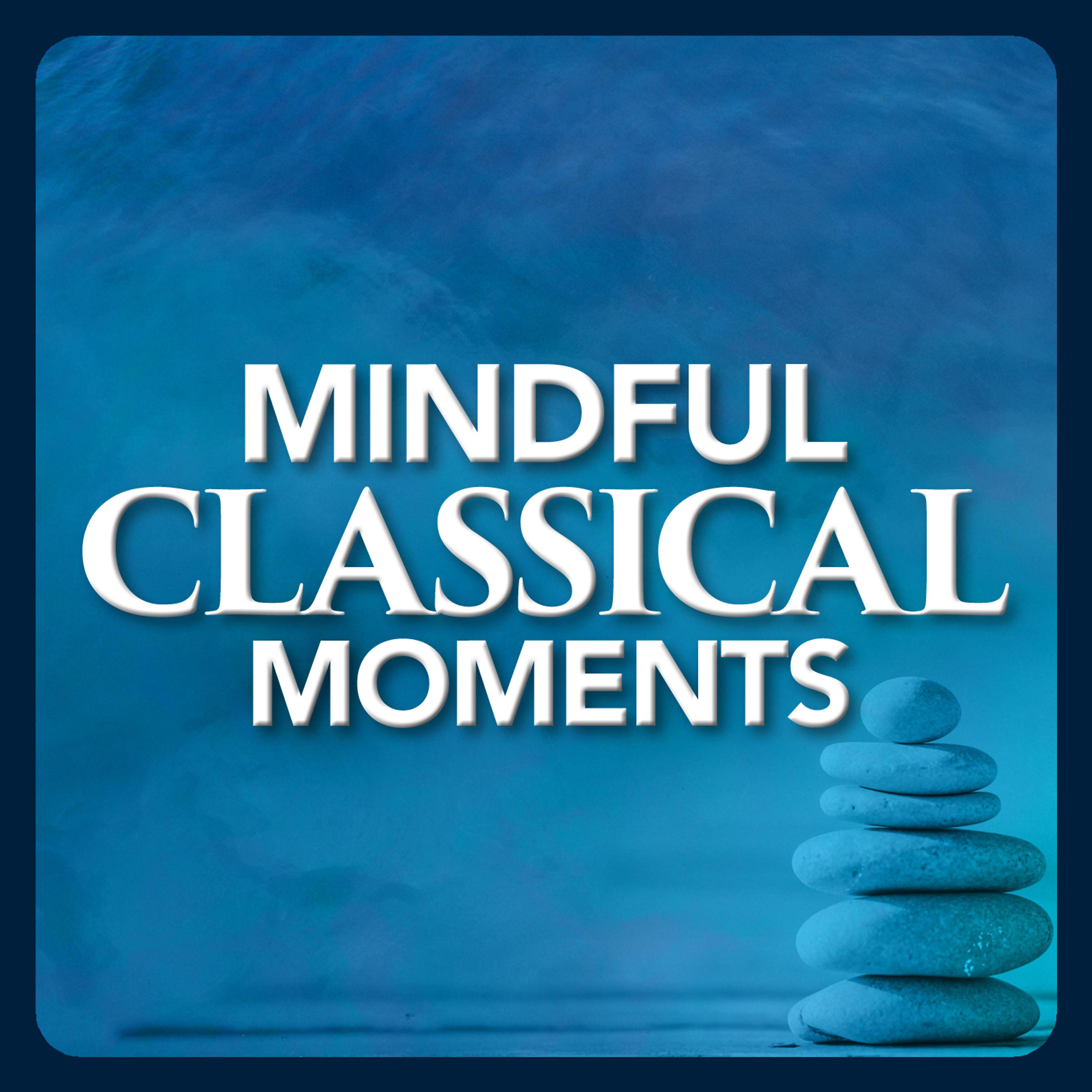 Постер альбома Mindful Classical Moments