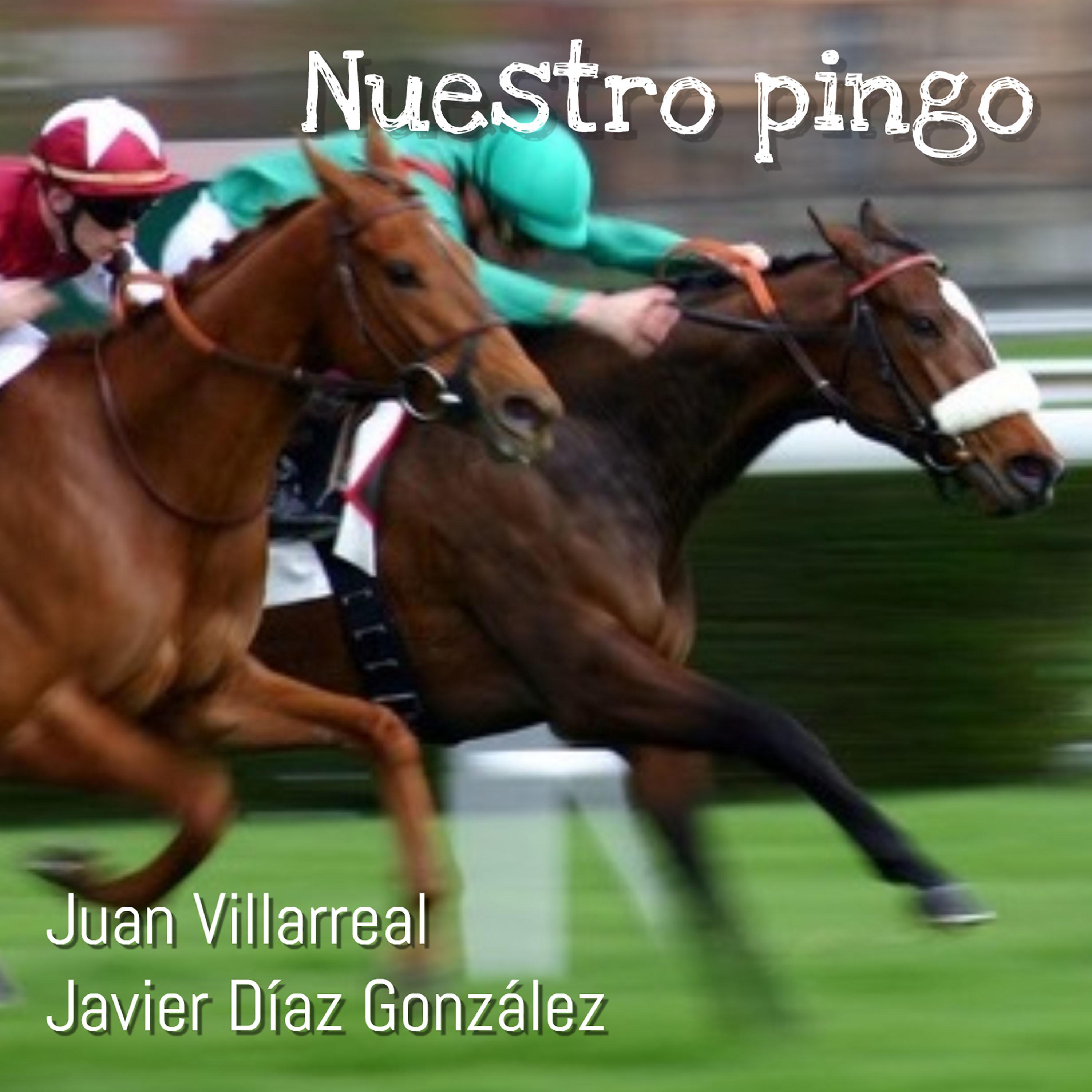 Постер альбома Nuestro Pingo