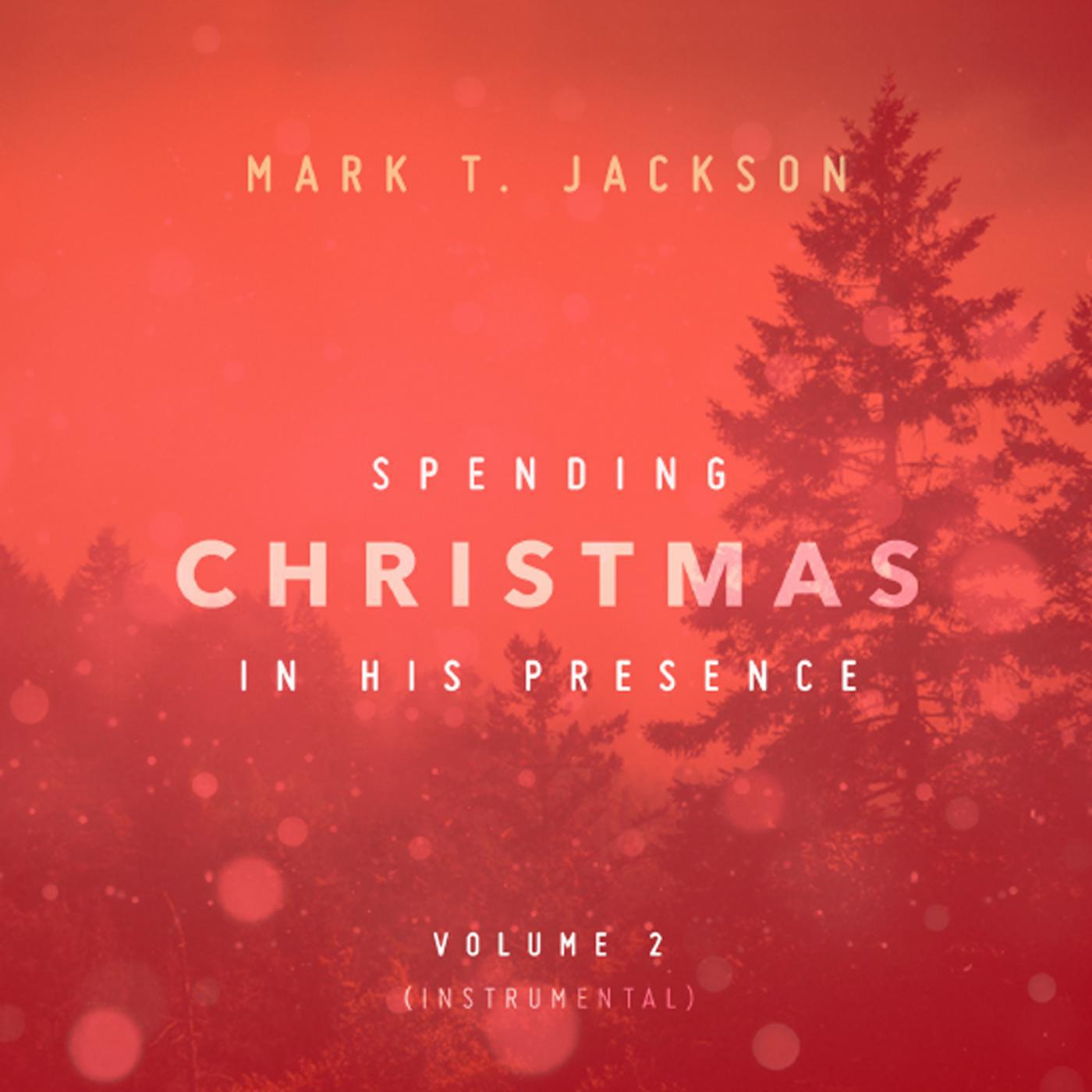 Постер альбома Spending Christmas in His Presence Instrumental Vol. 2