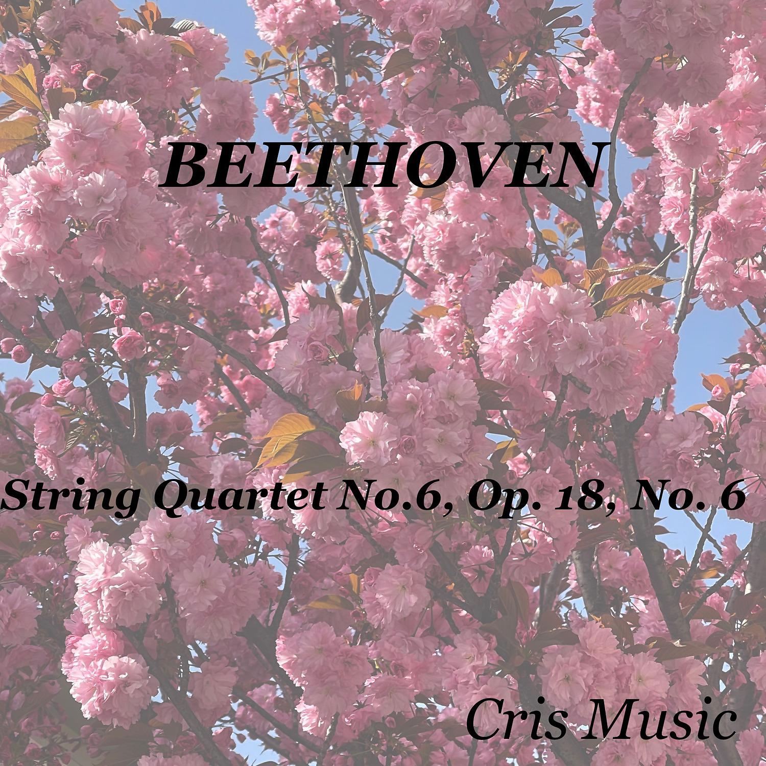 Постер альбома Beethoven: String Quartet No.6, Op.18, No.6