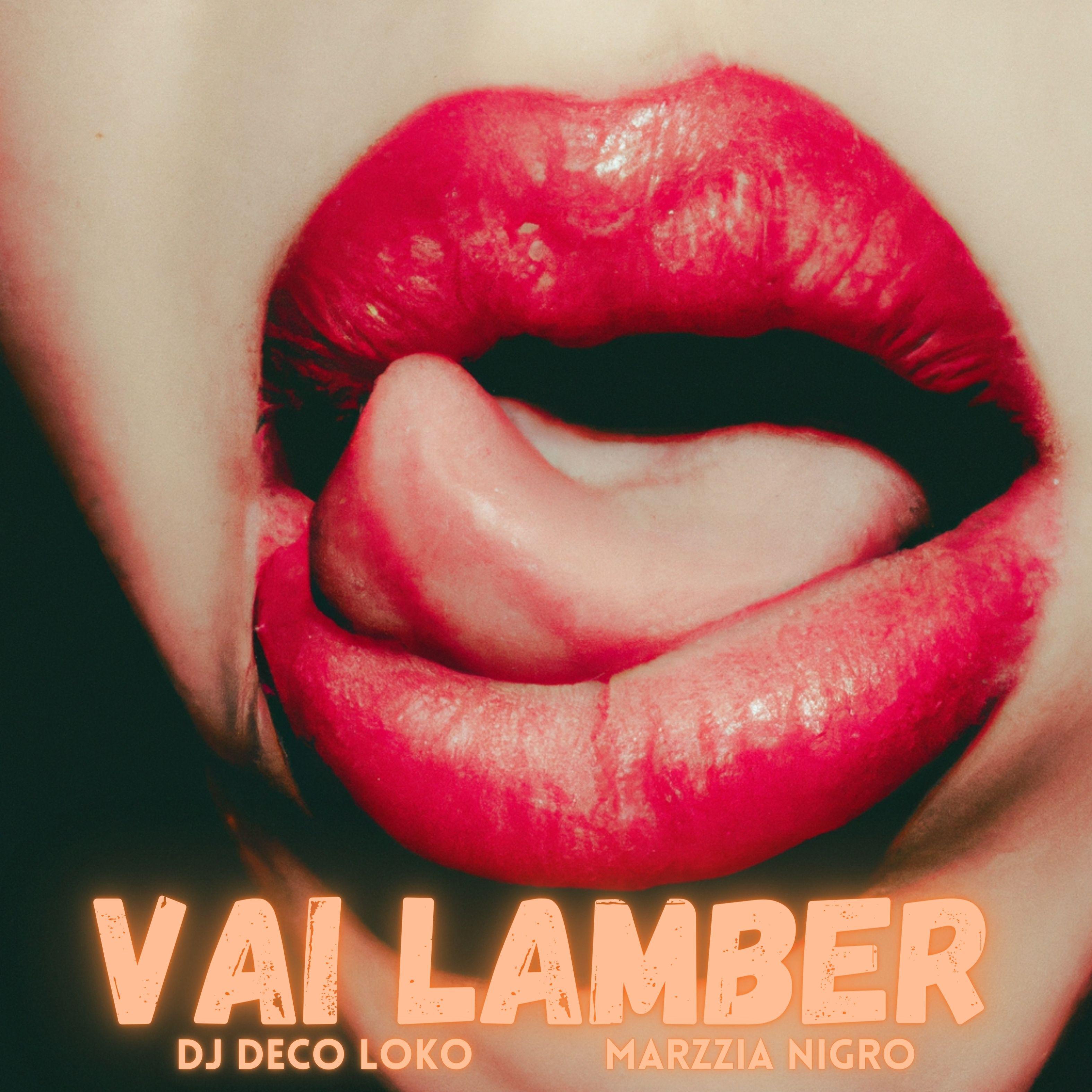 Постер альбома Vai Lamber