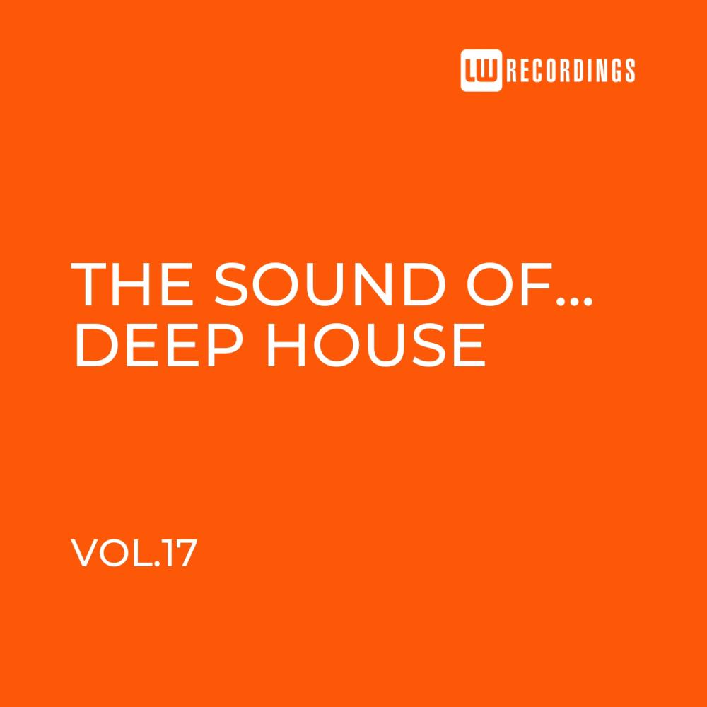 Постер альбома The Sound Of Deep House, Vol. 17