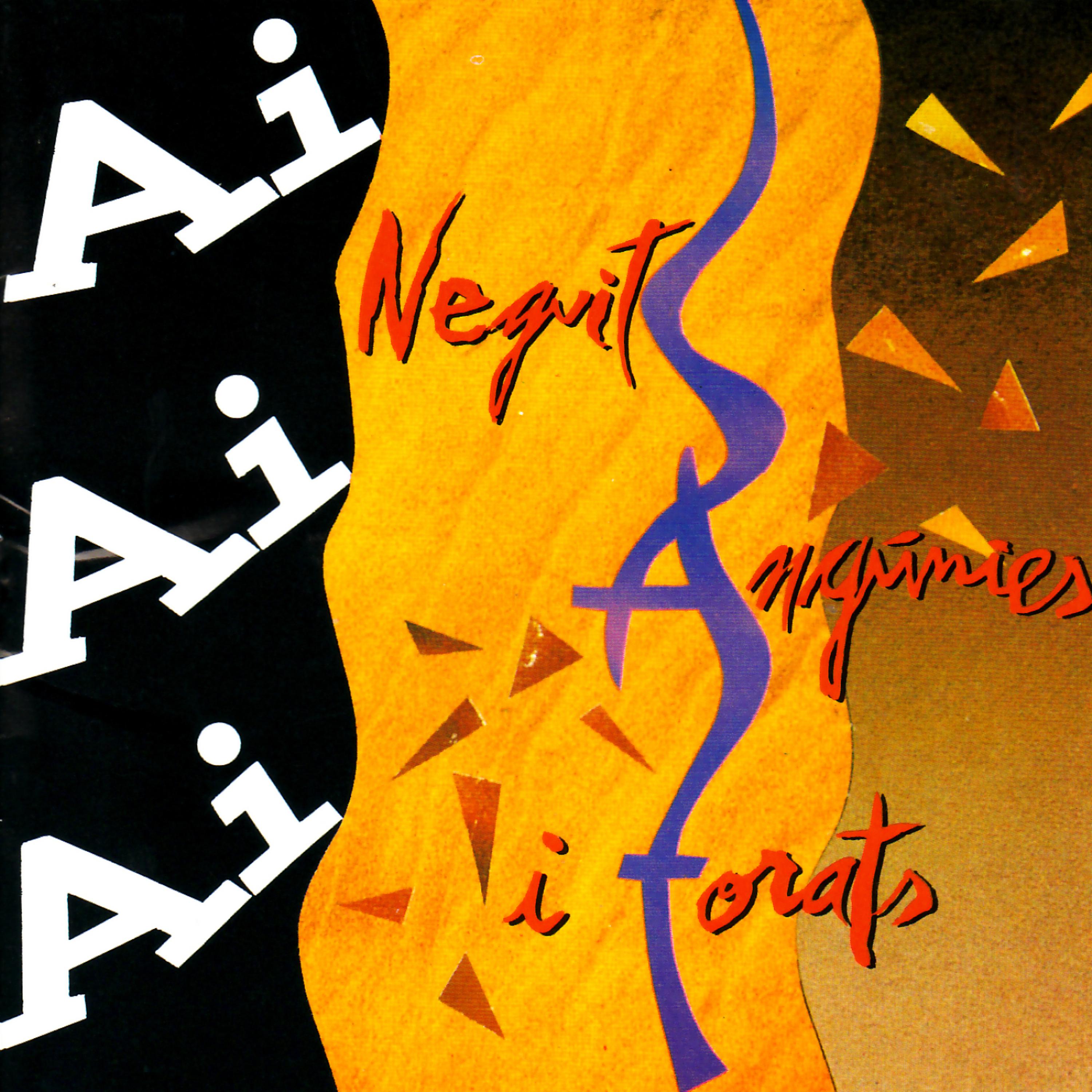 Постер альбома Neguits, Angunies I Forats