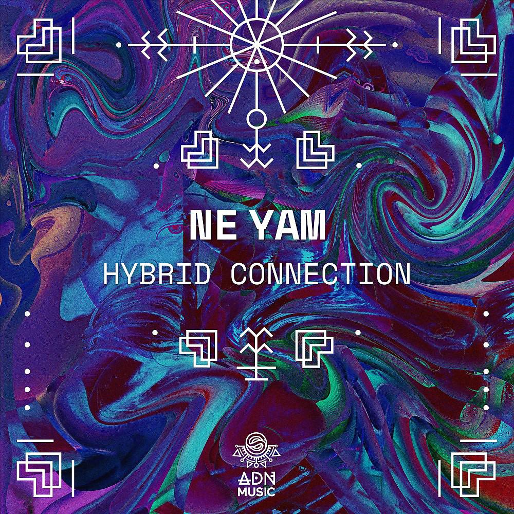 Постер альбома Hybrid Connection