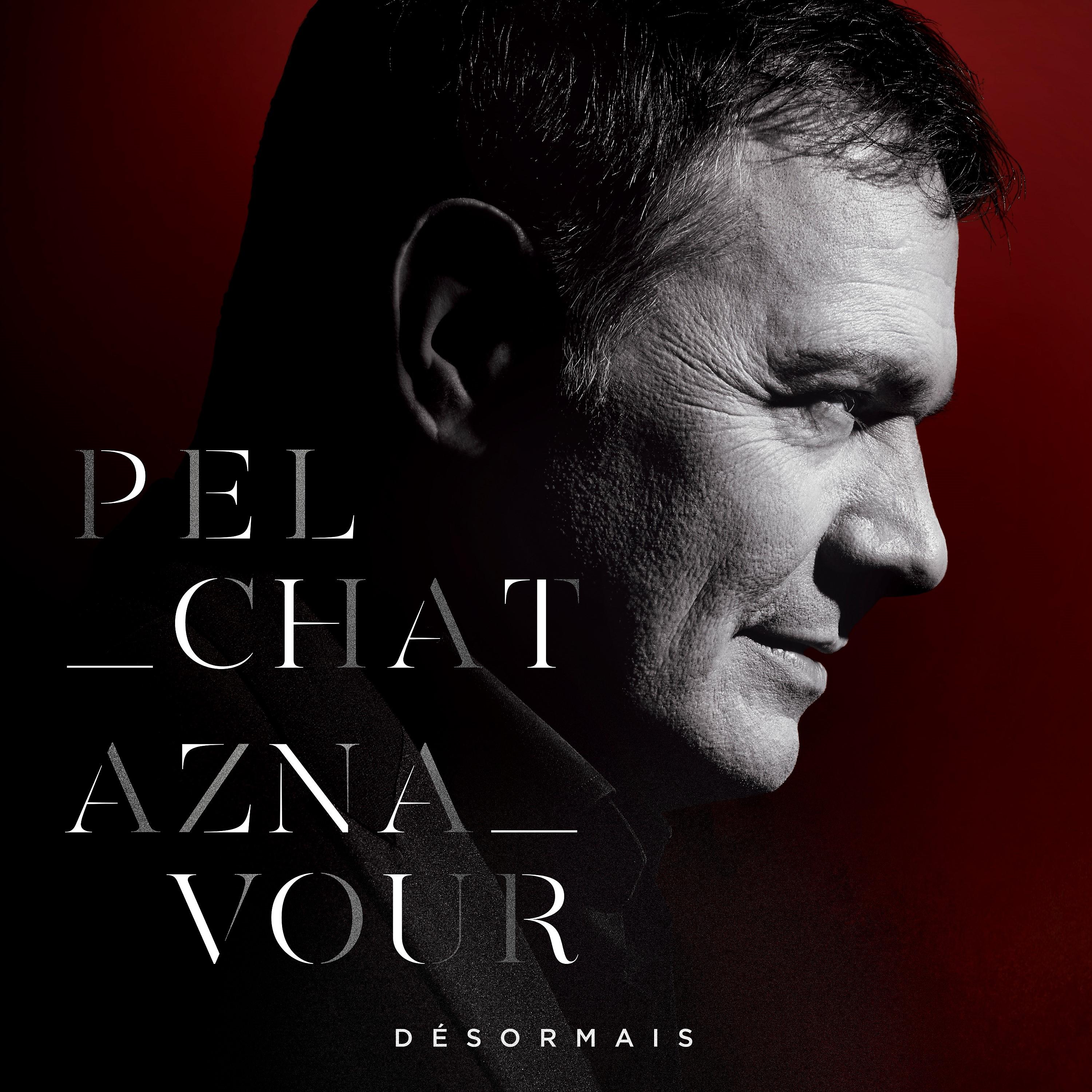 Постер альбома Pelchat Aznavour Désormais