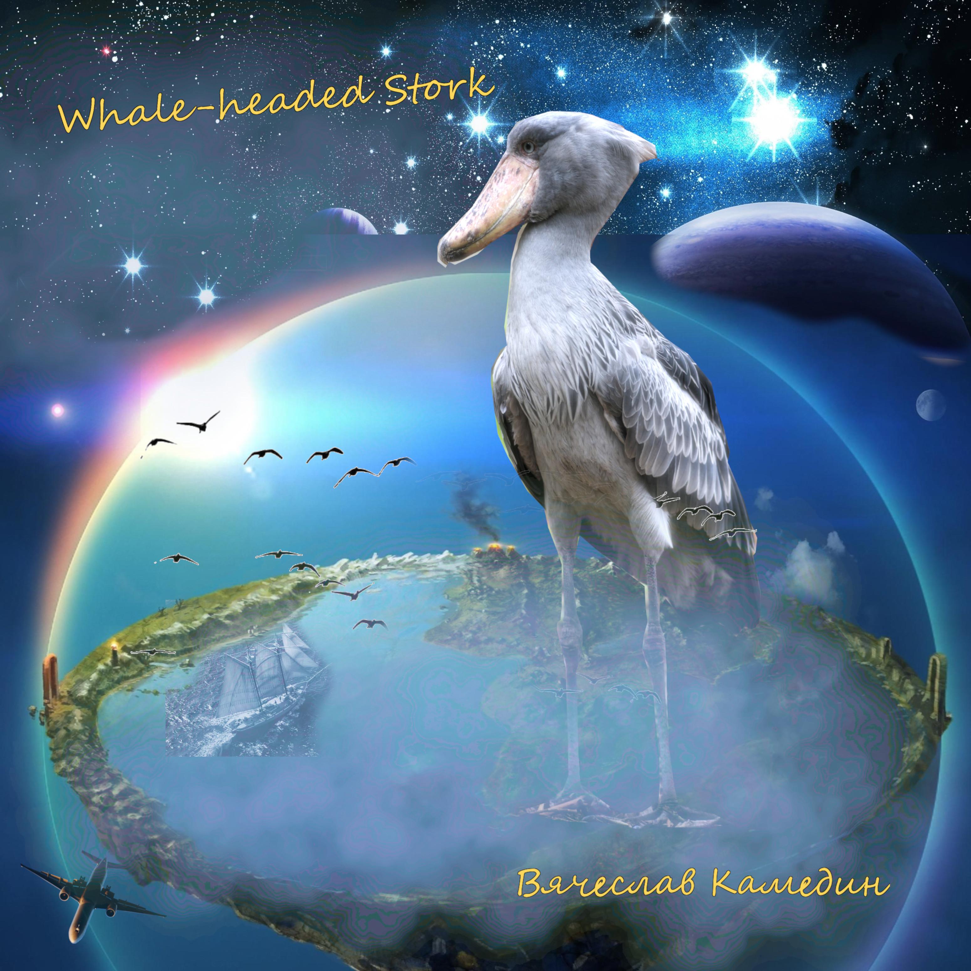 Постер альбома Whale-headed Stork