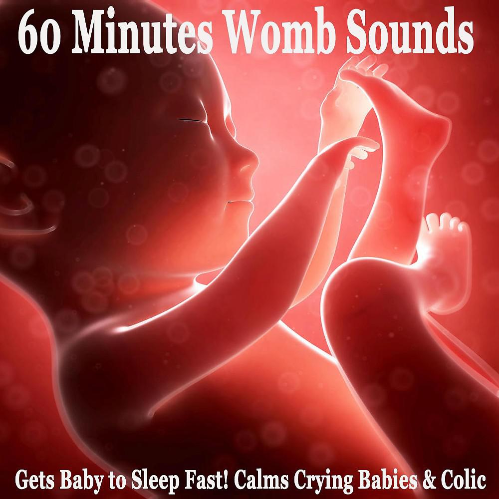 Постер альбома 60 Minutes Womb Sounds (Gets Baby to Sleep Fast! Calms Crying Babies & Colic)