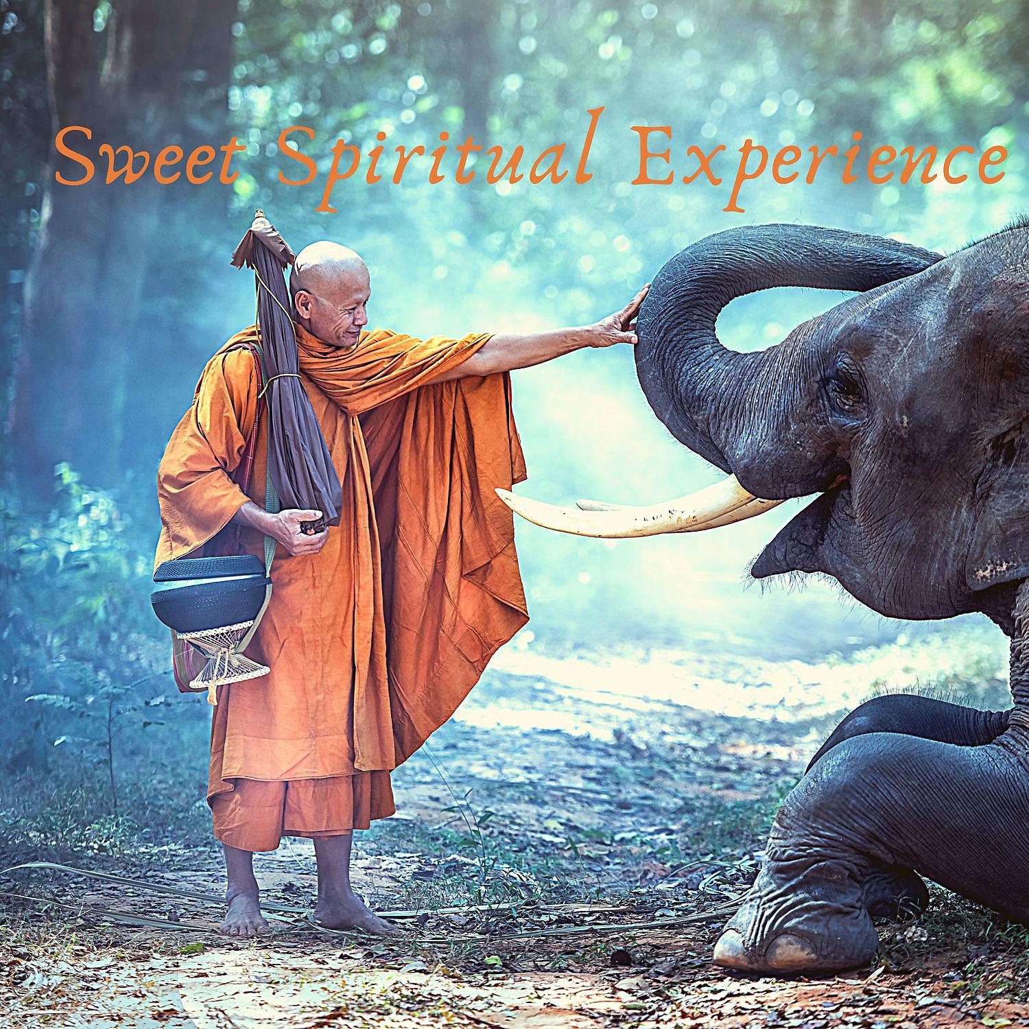 Постер альбома Sweet Spiritual Experience