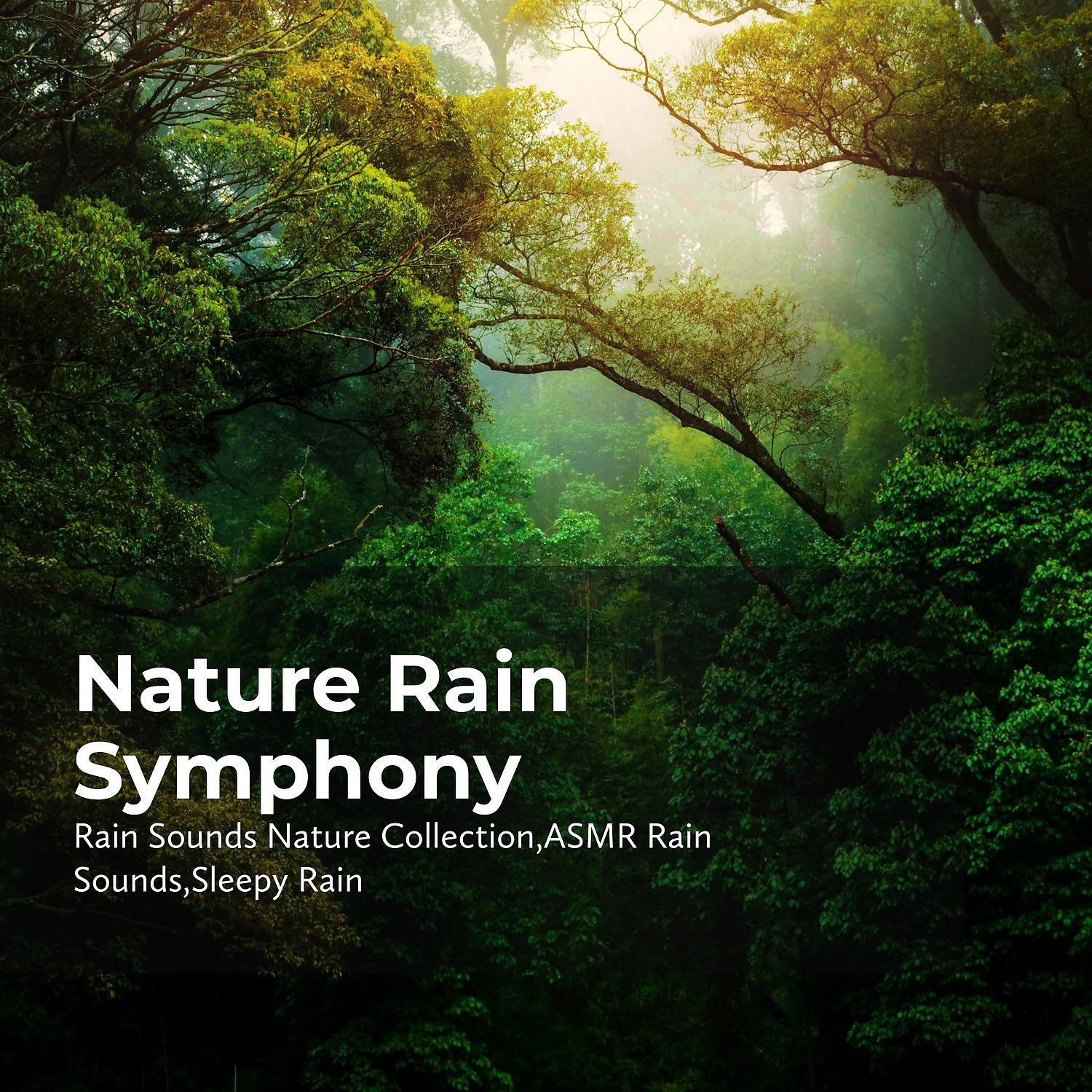 Постер альбома Nature Rain Symphony