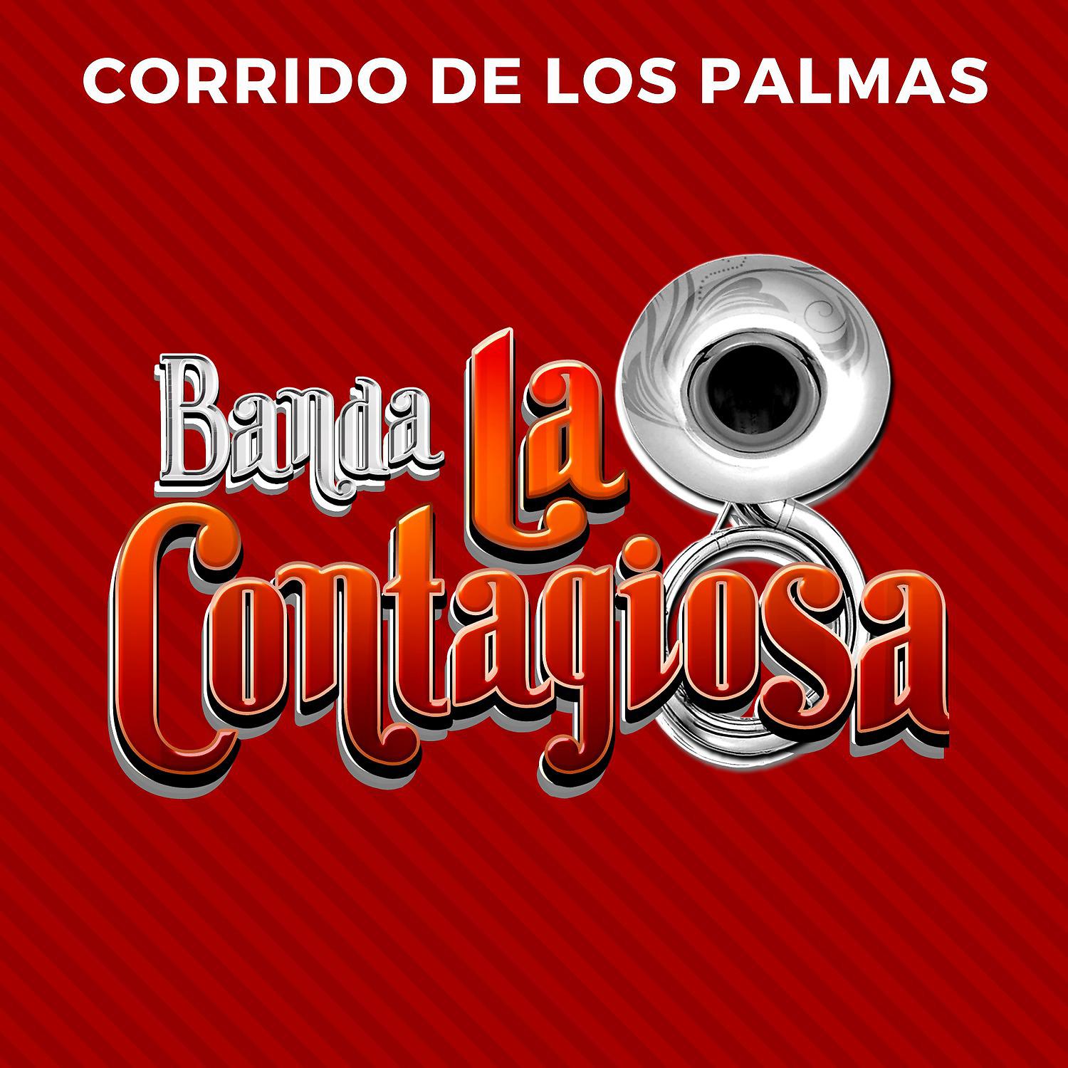Постер альбома Corrido de los Palmas