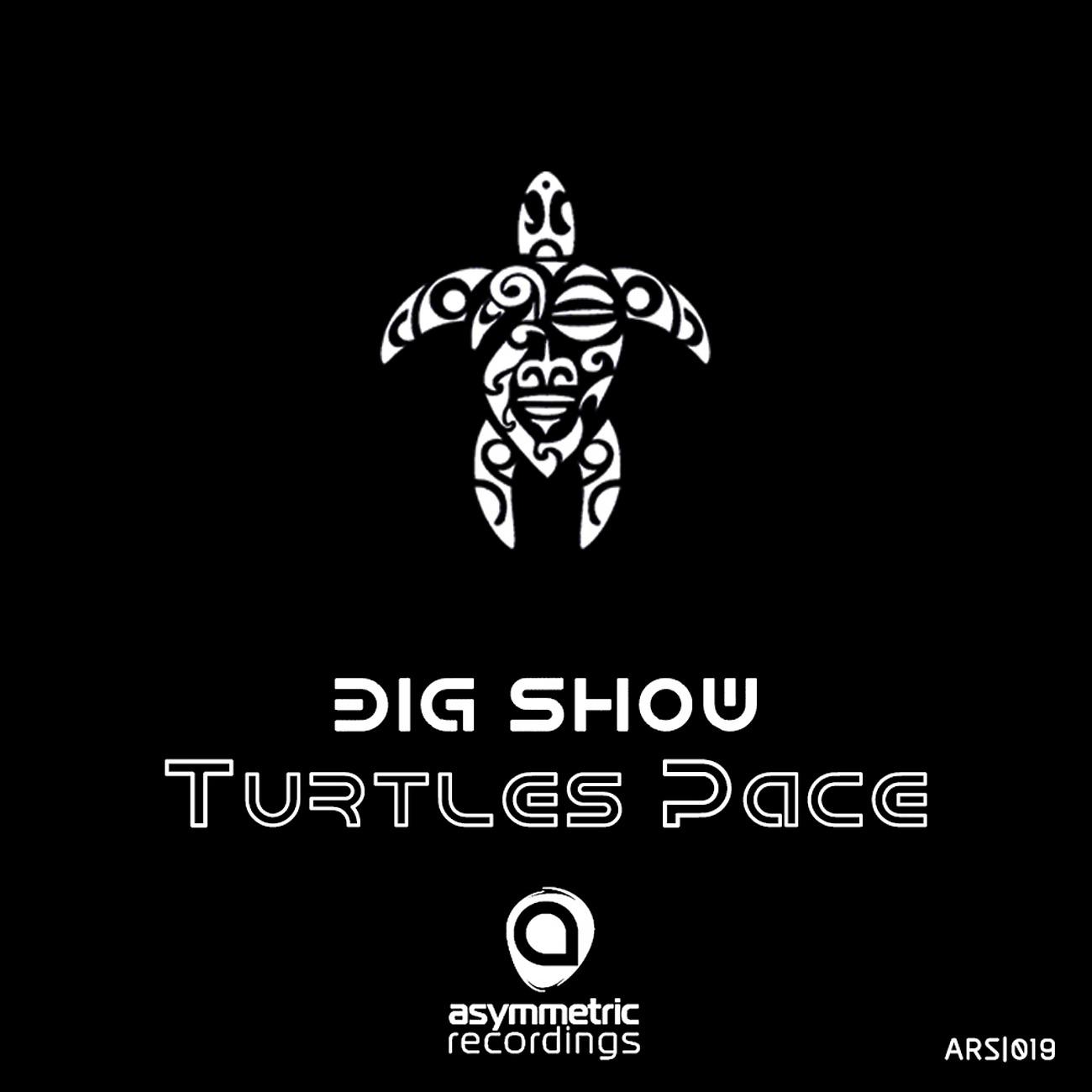 Постер альбома Turtle's Pace
