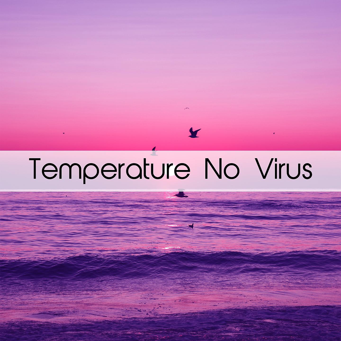 Постер альбома Temperature No Virus