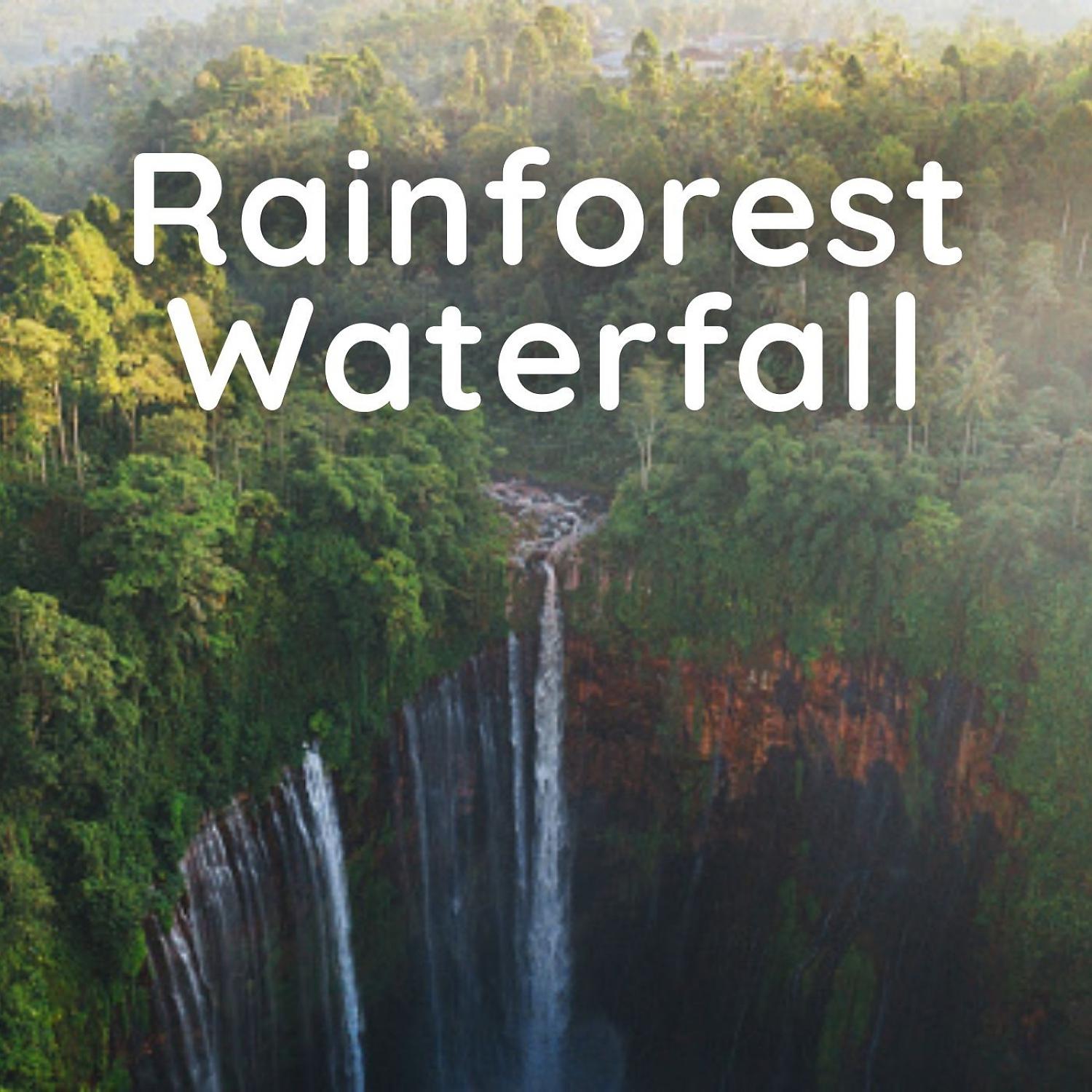 Постер альбома Rainforest Waterfall