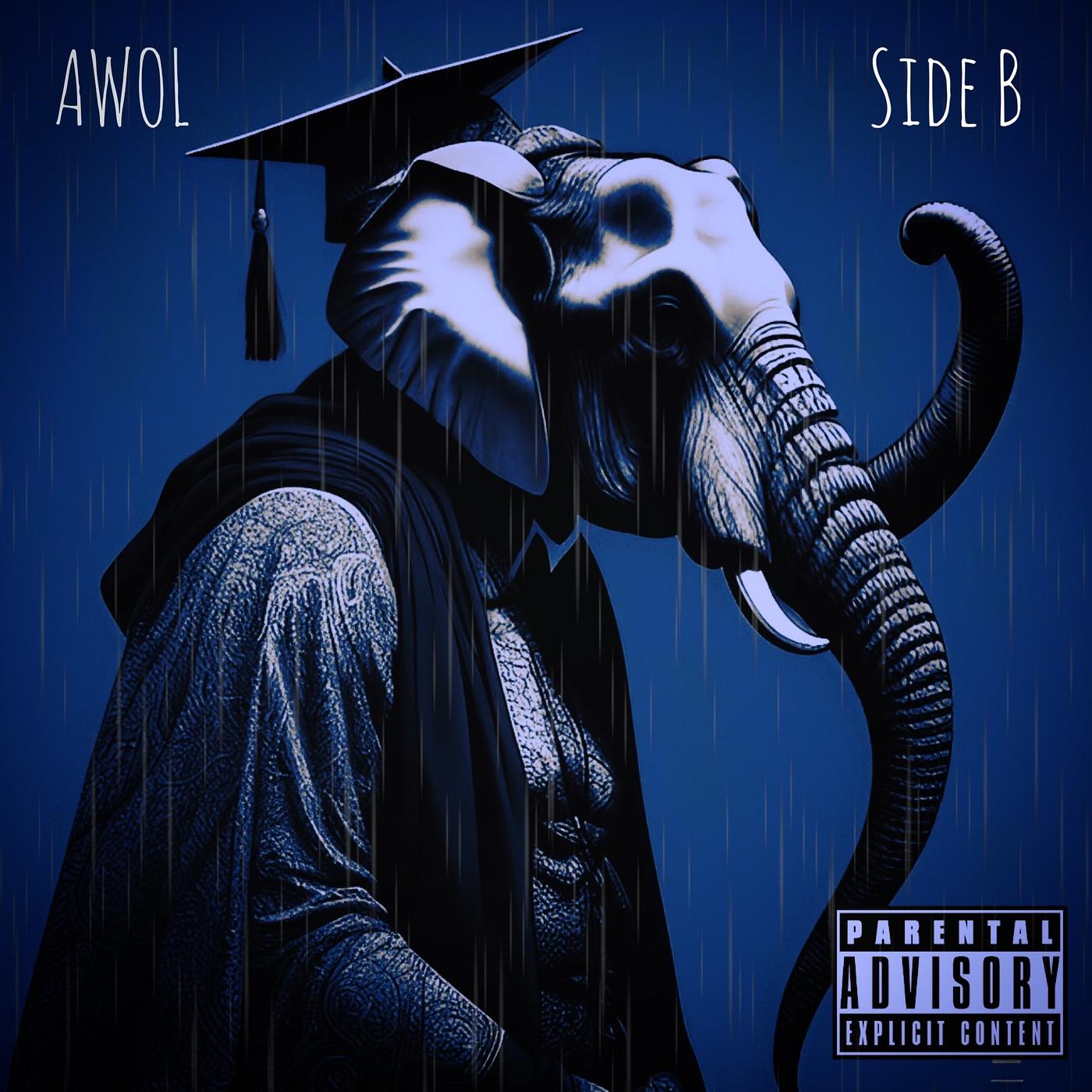 Постер альбома Awol: Side B