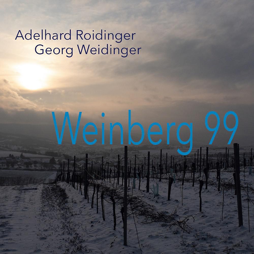 Постер альбома Weinberg 99
