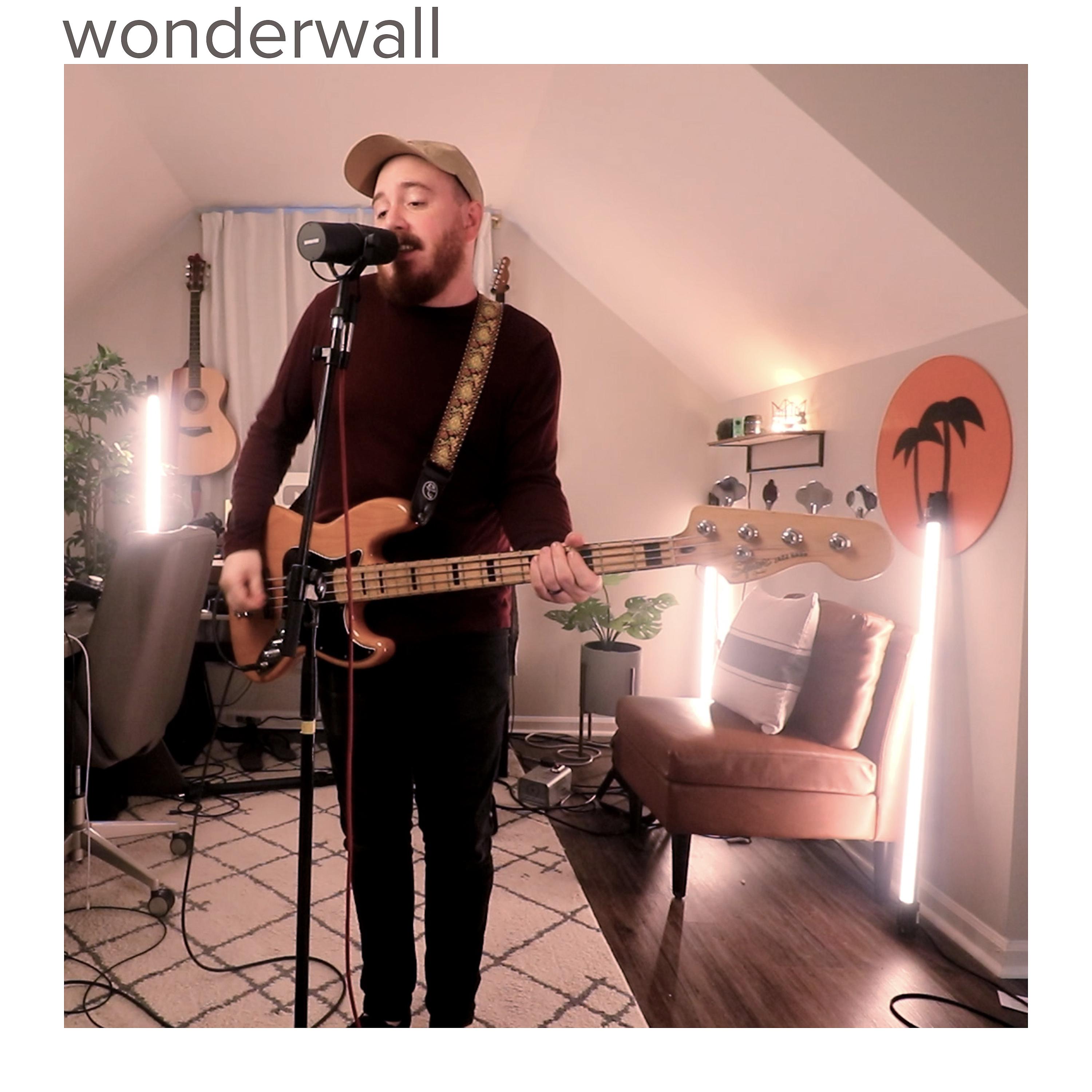Постер альбома Wonderwall (Blink-182 Style)