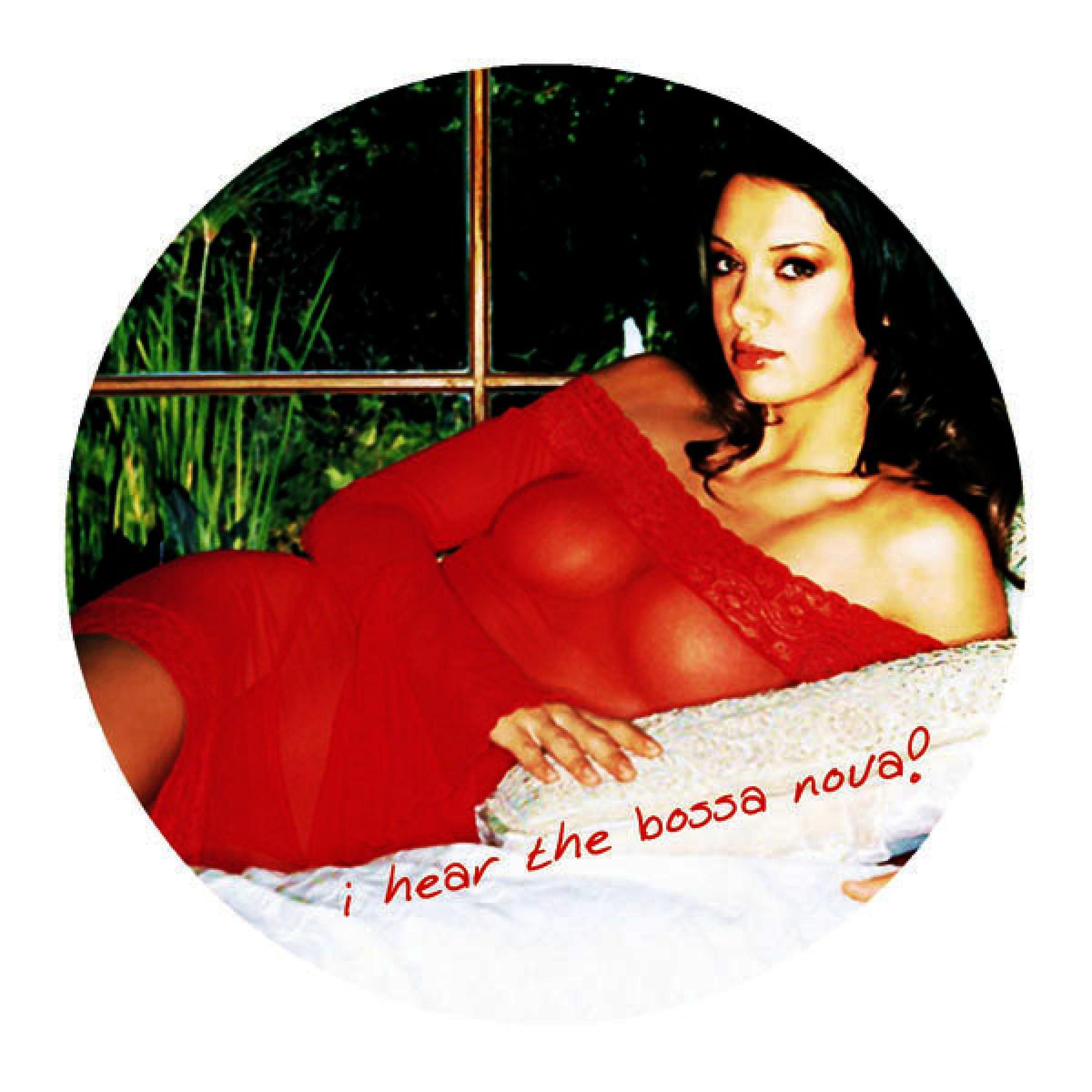 Постер альбома I Hear the Bossa Nova