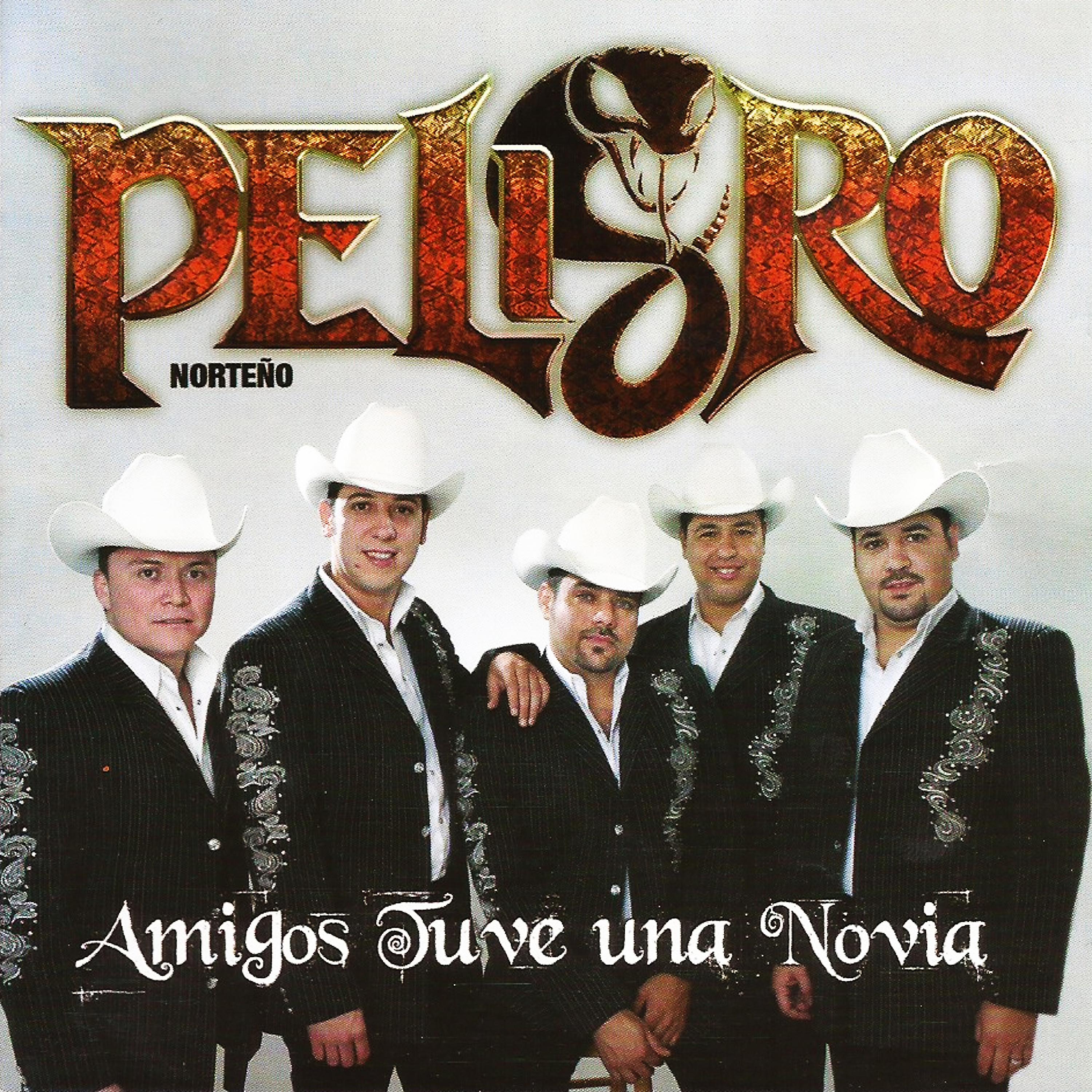 Постер альбома Amigos Tuve una Novia