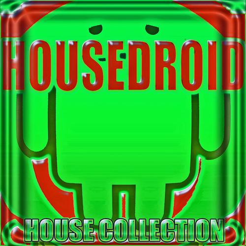 Постер альбома Housedroid