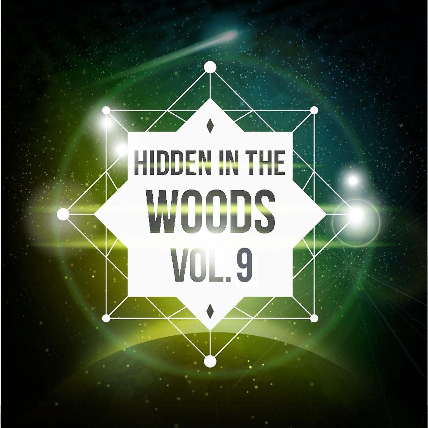 Постер альбома Hidden In The Woods Vol.9