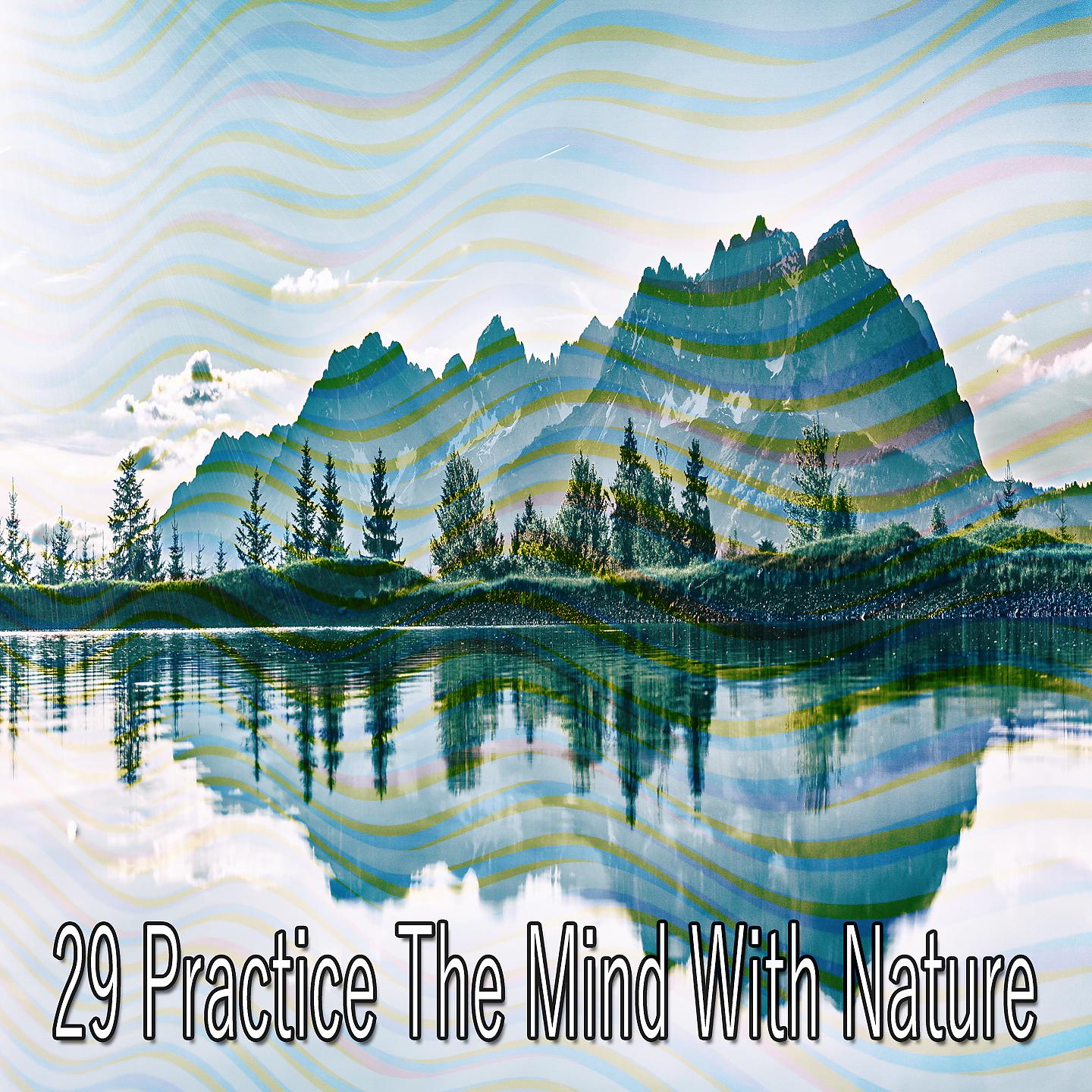 Постер альбома 29 Практикуйте разум с природой