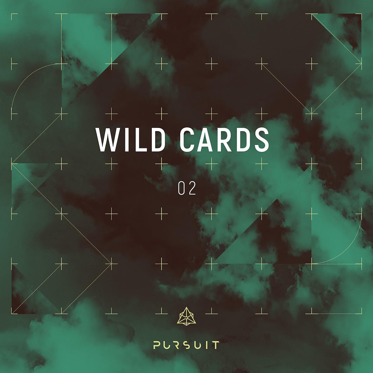 Постер альбома Wild Cards 02