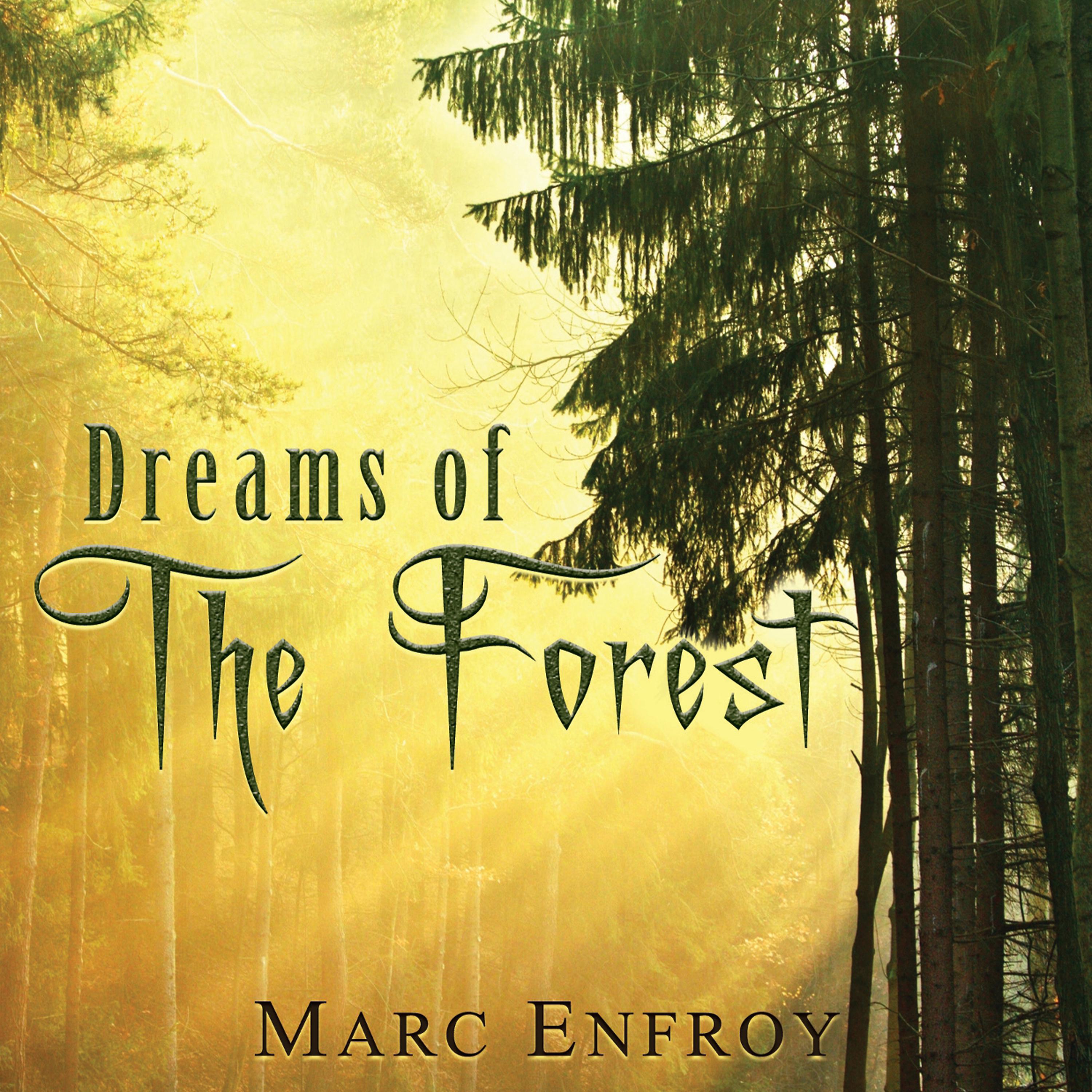 Постер альбома Dreams of the Forest