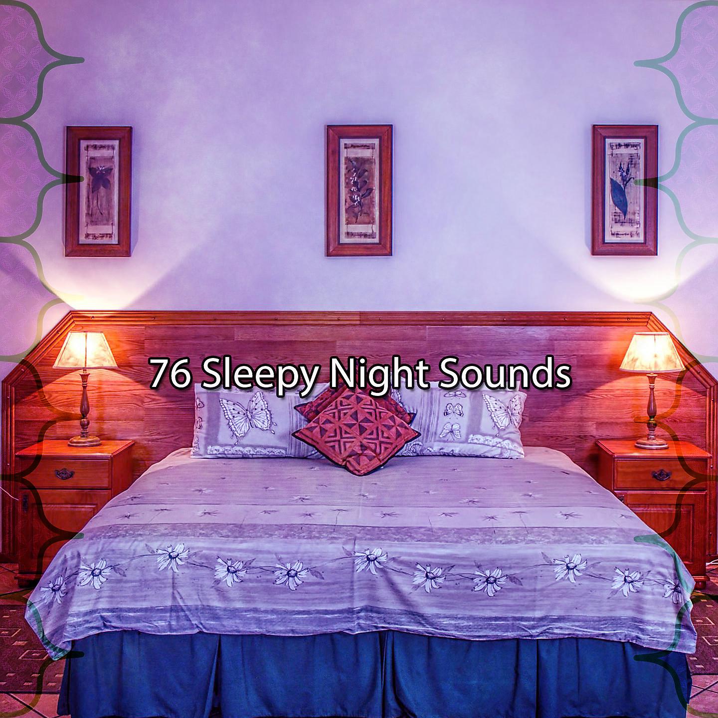 Постер альбома 76 Звуки сонной ночи