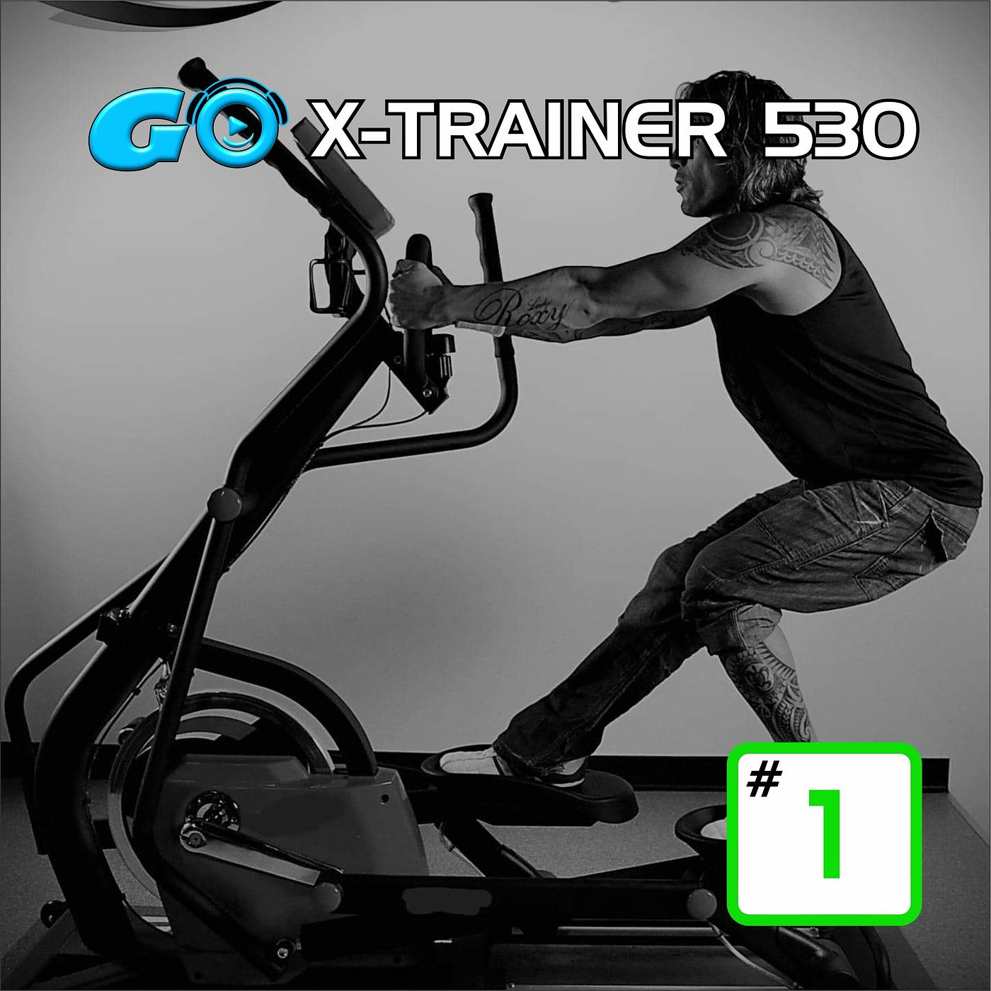 Постер альбома Go X-Trainer Hiit 530 #1