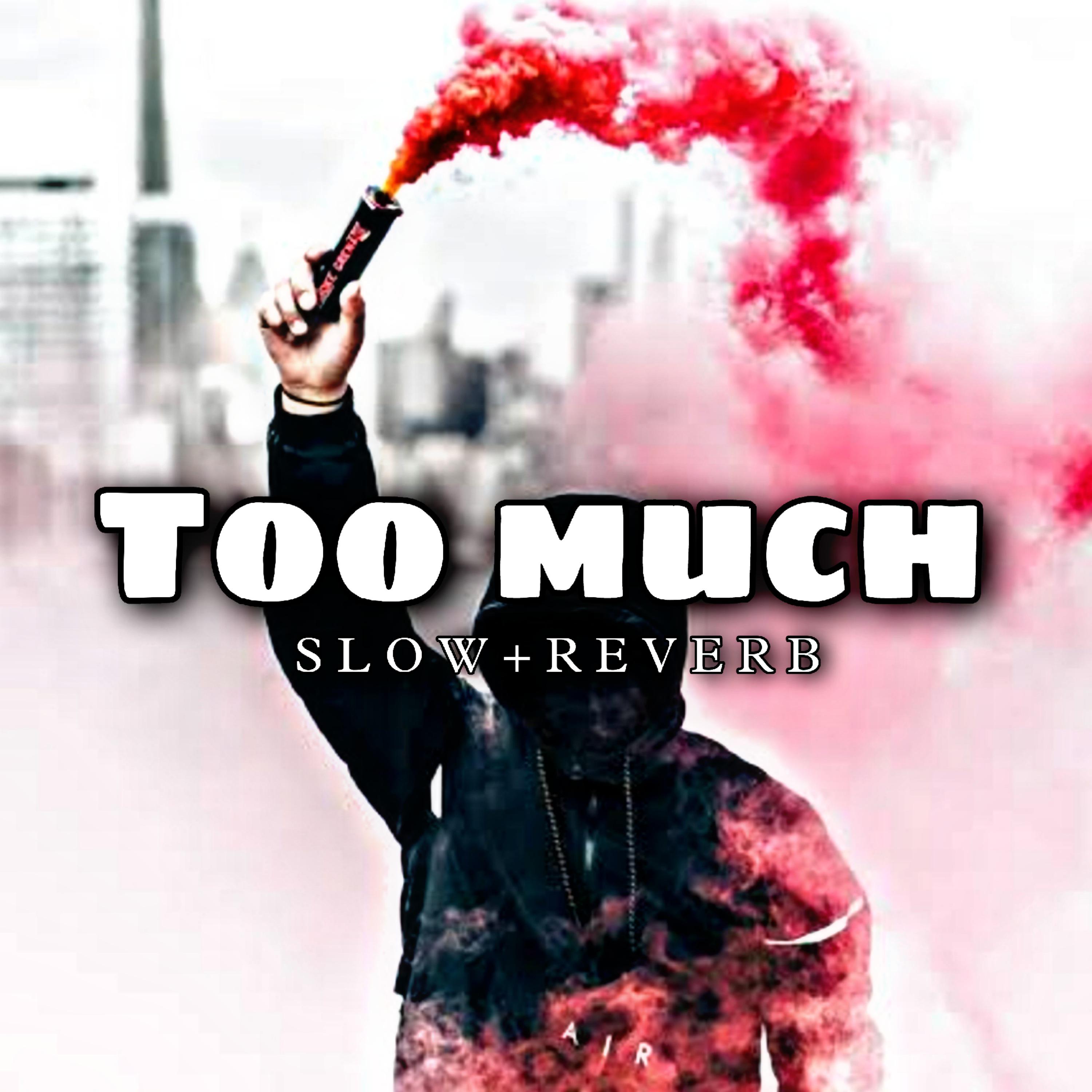 Постер альбома Too Much (Slow + Reverb)