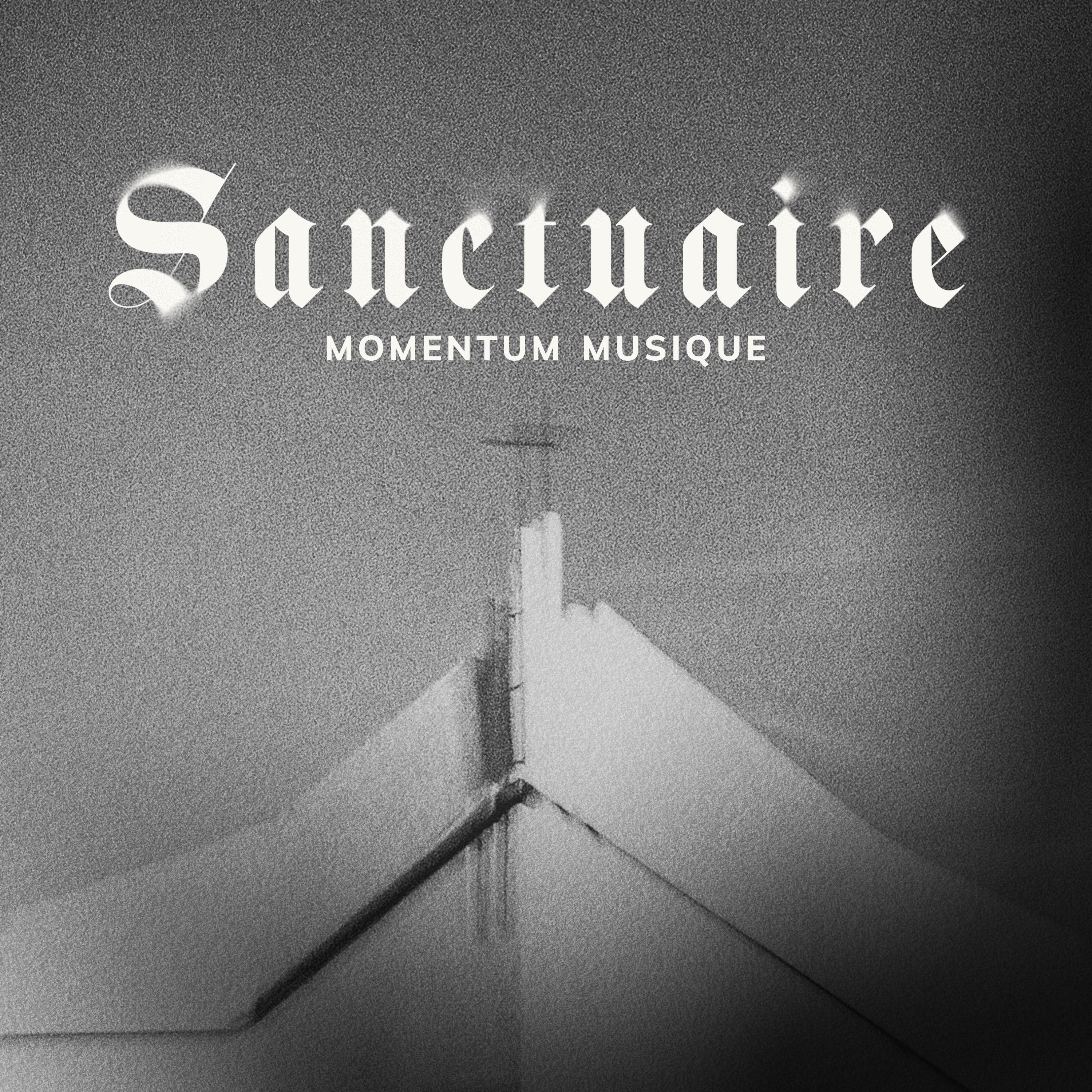 Постер альбома Sanctuaire