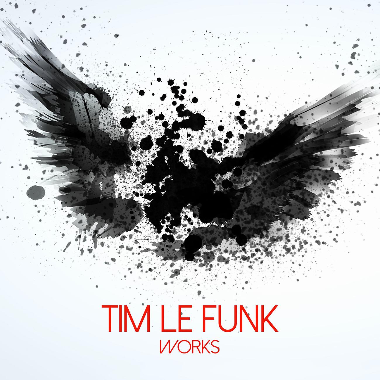 Постер альбома Tim Le Funk Works