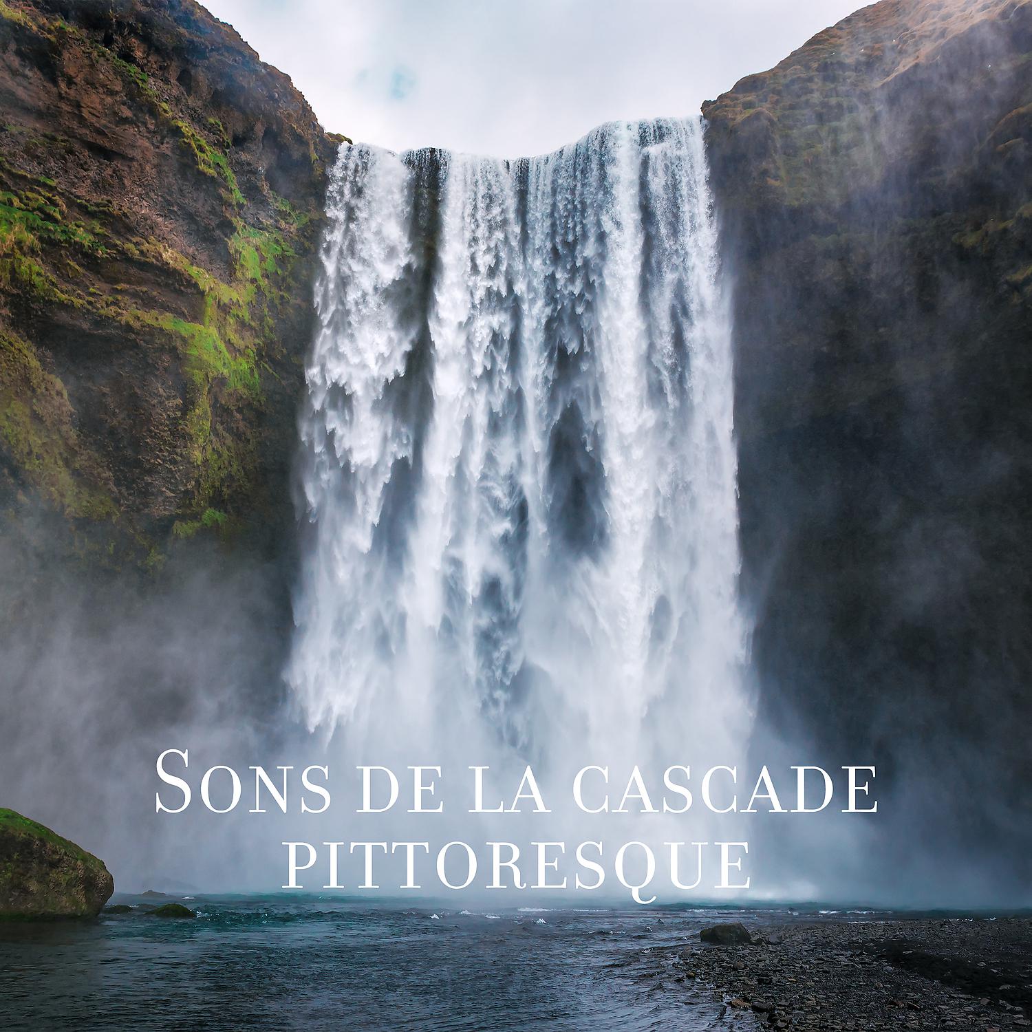 Постер альбома Sons de la cascade pittoresque: Paix de l'eau, Nature pure, Thérapie de guérison, Sons relaxants