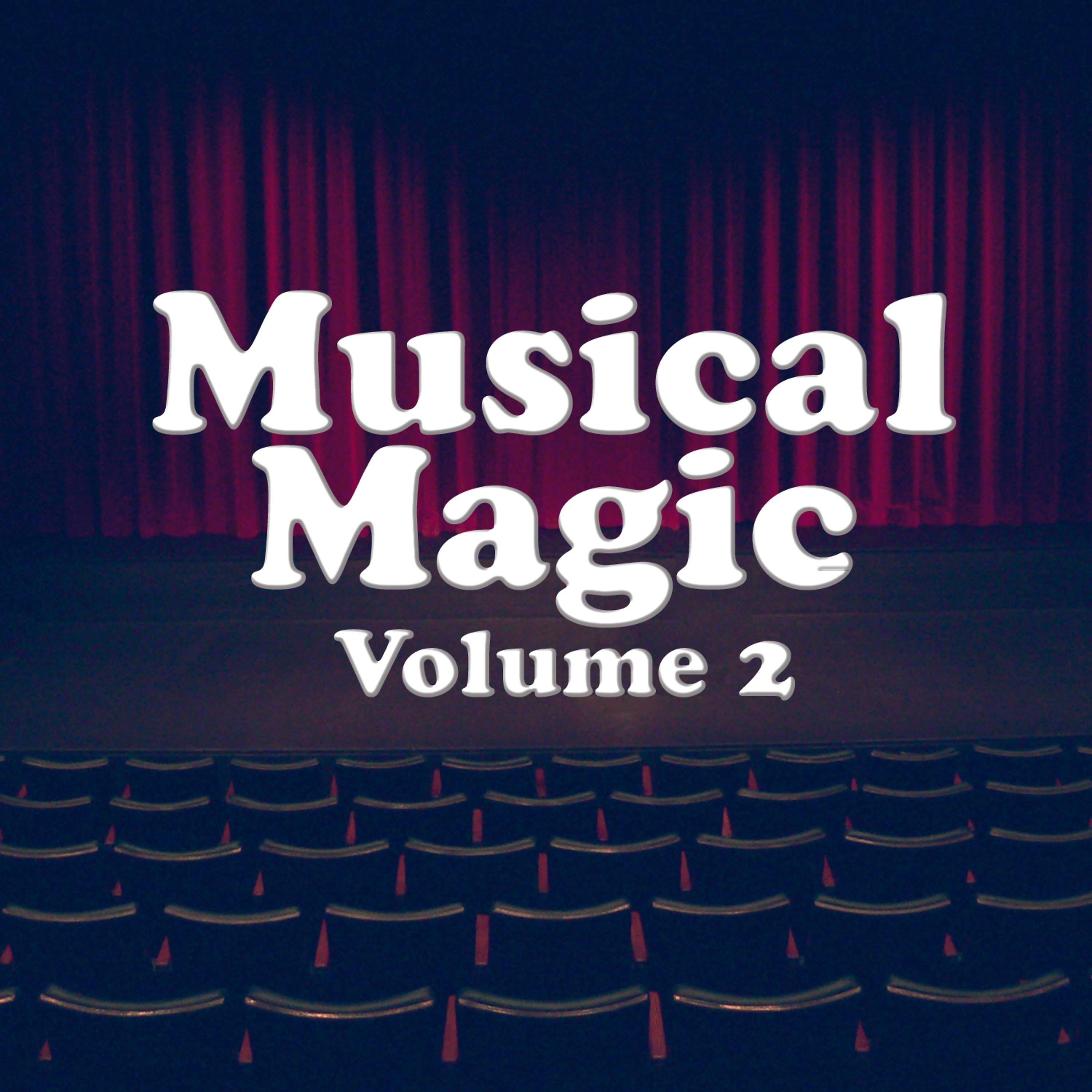 Постер альбома Musical Magic Vol 2