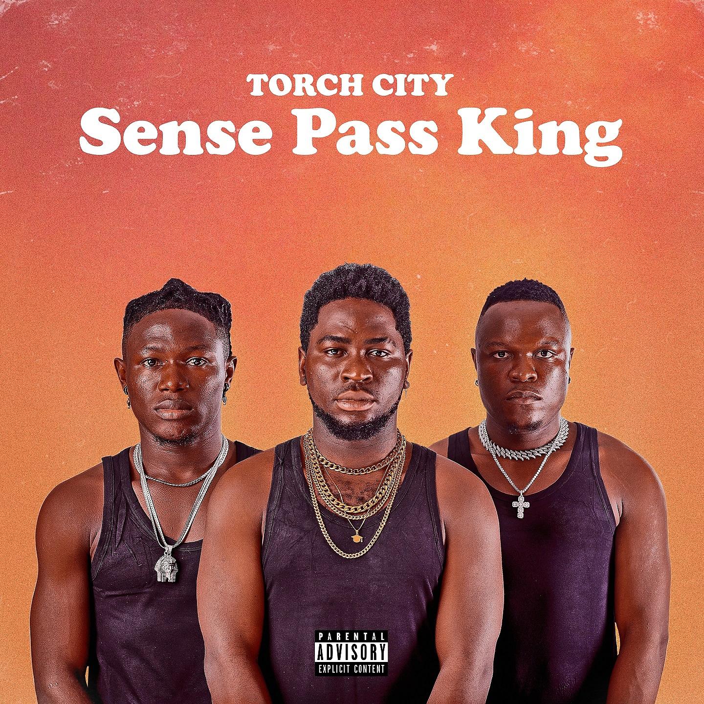 Постер альбома Sense Pass King