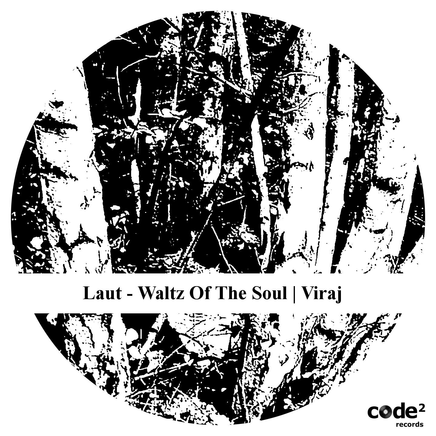 Постер альбома Waltz of the Soul | Viraj