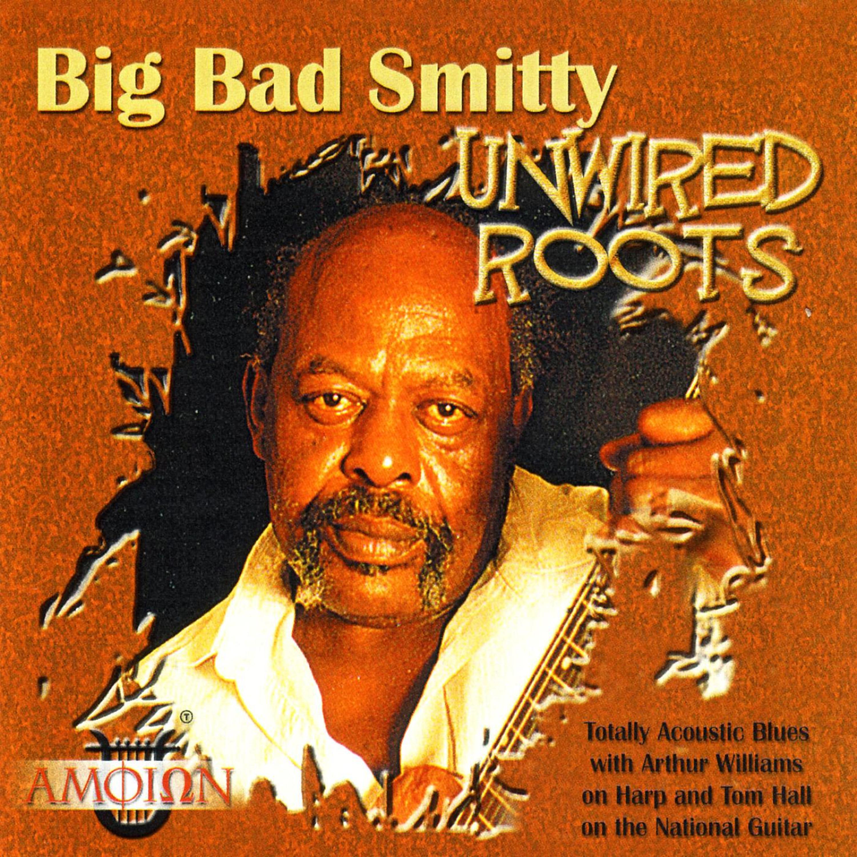 Постер альбома Unwired Roots
