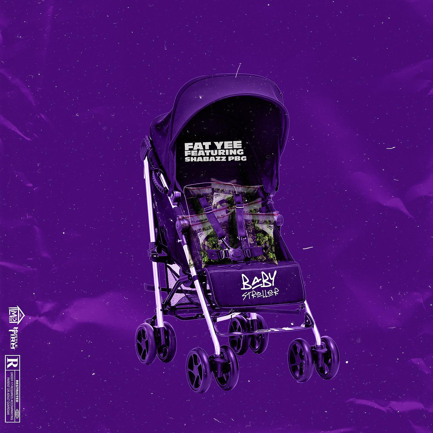 Постер альбома Baby Stroller