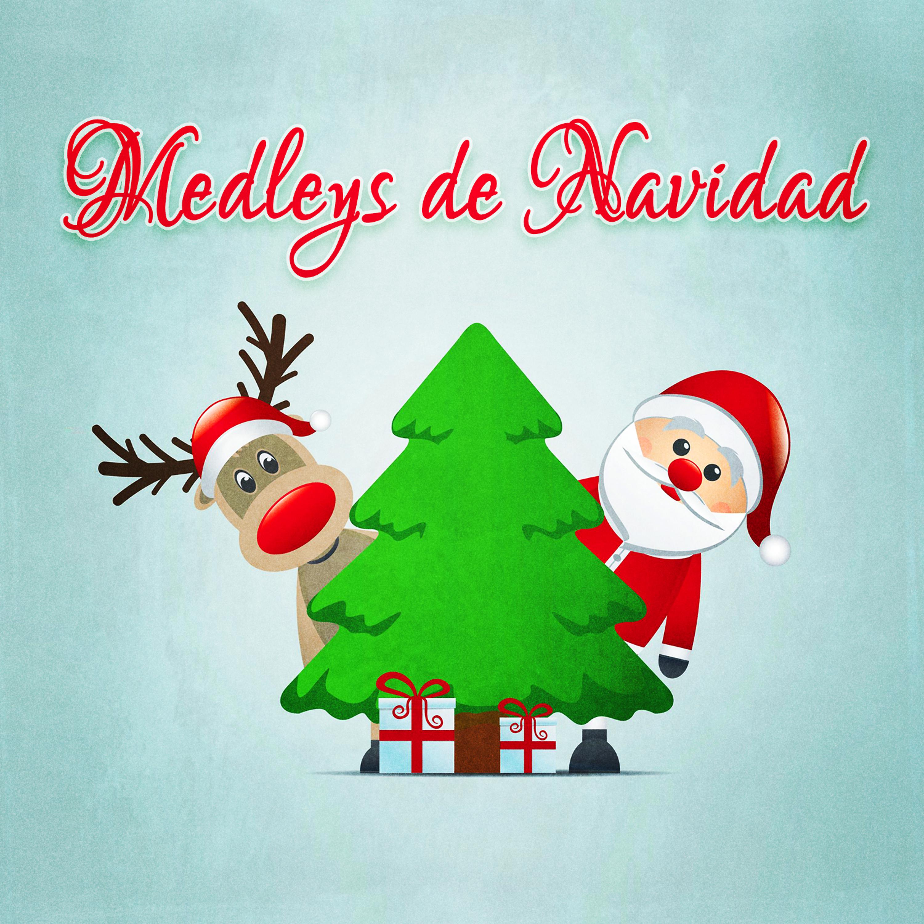 Постер альбома Medleys de Navidad (Medleys Inolvidables de las Mejores Canciones y Villancicos de Navidad)