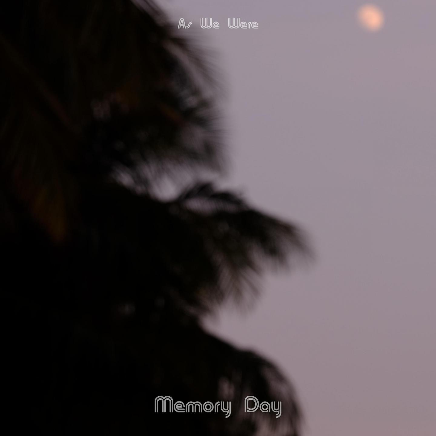Постер альбома Memory Day
