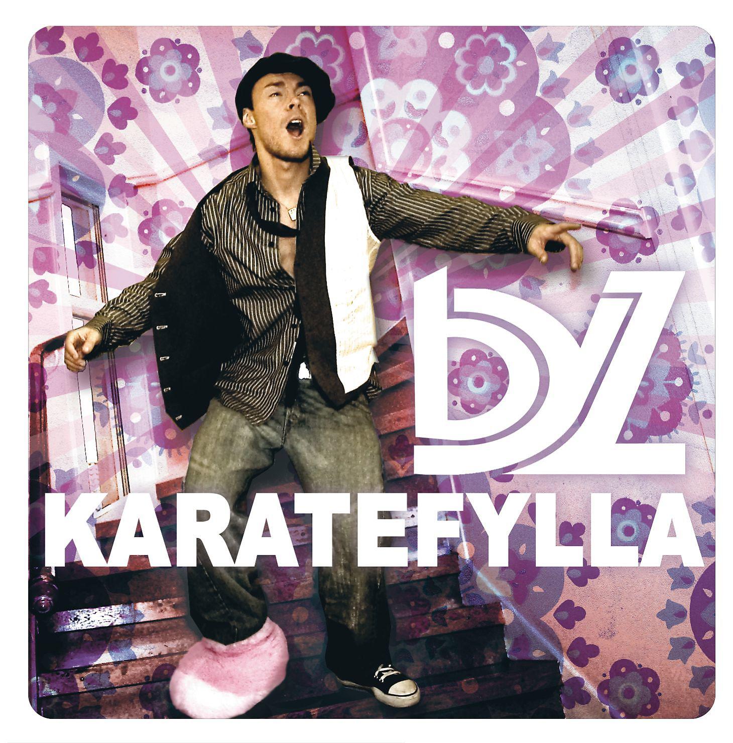 Постер альбома Karatefylla